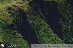 Right Branch Moonlight Creek