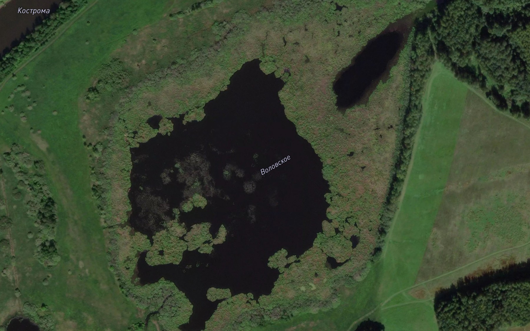 Satellite map of the Ozero Volovskoye