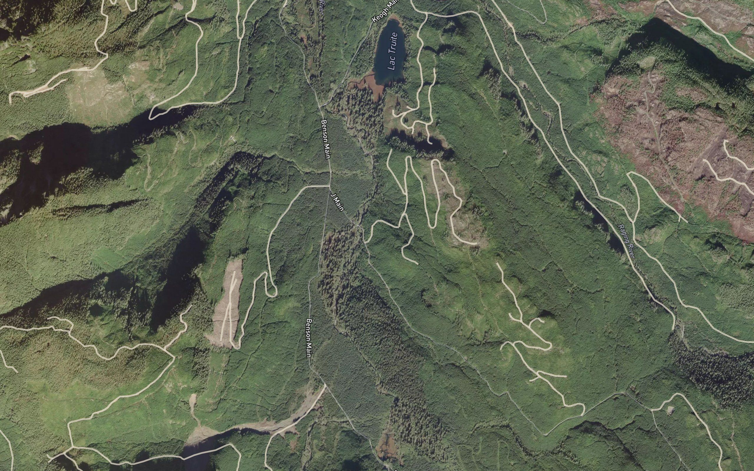 Rainier Creek