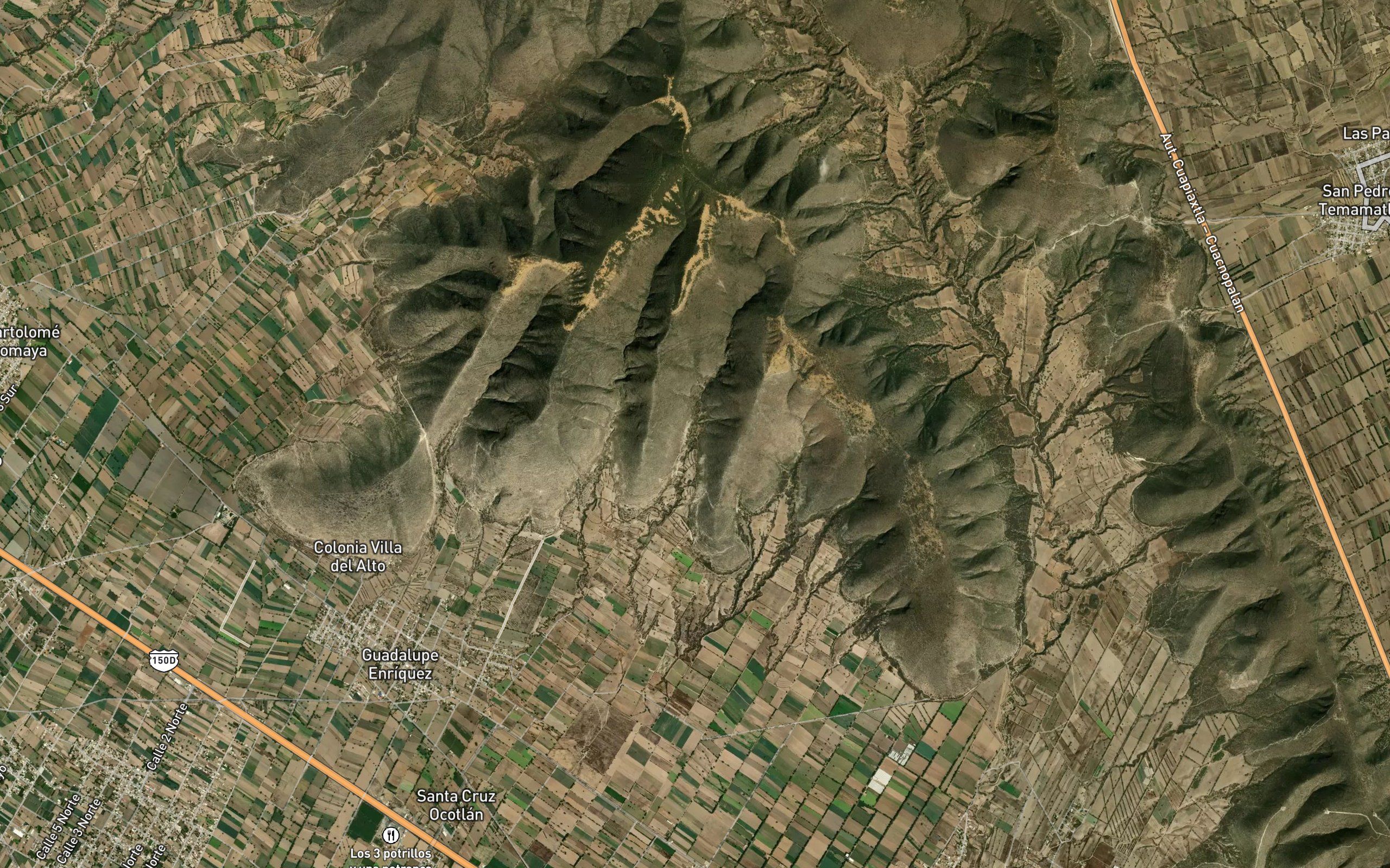 El Palmar