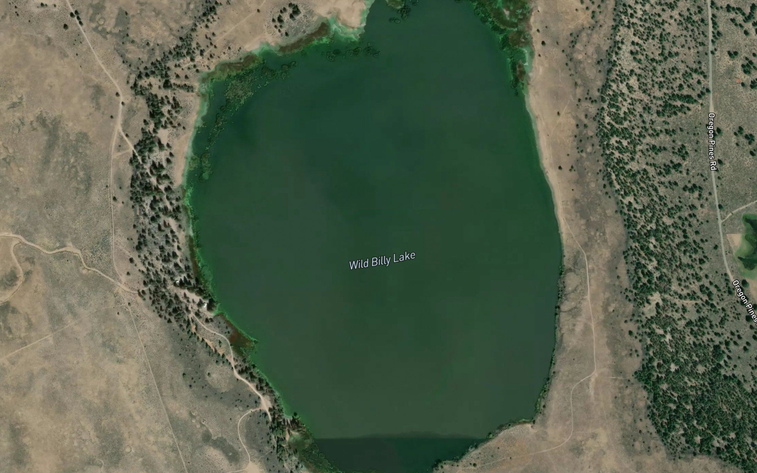 Wild Billy Lake