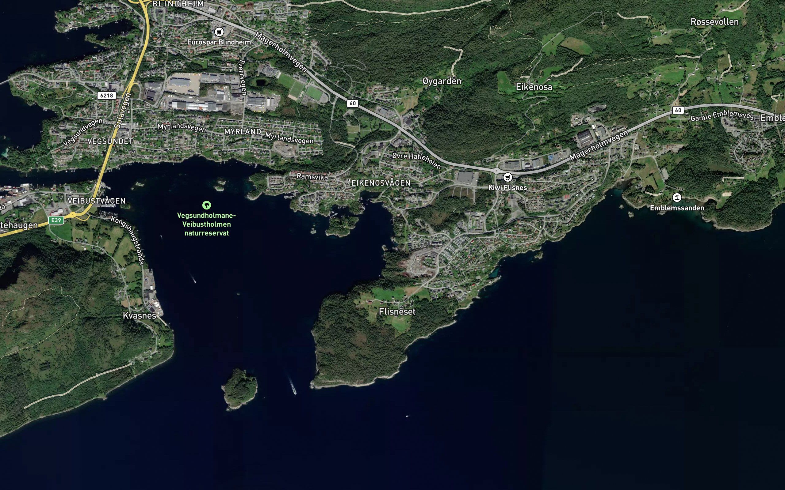 Hamnevika