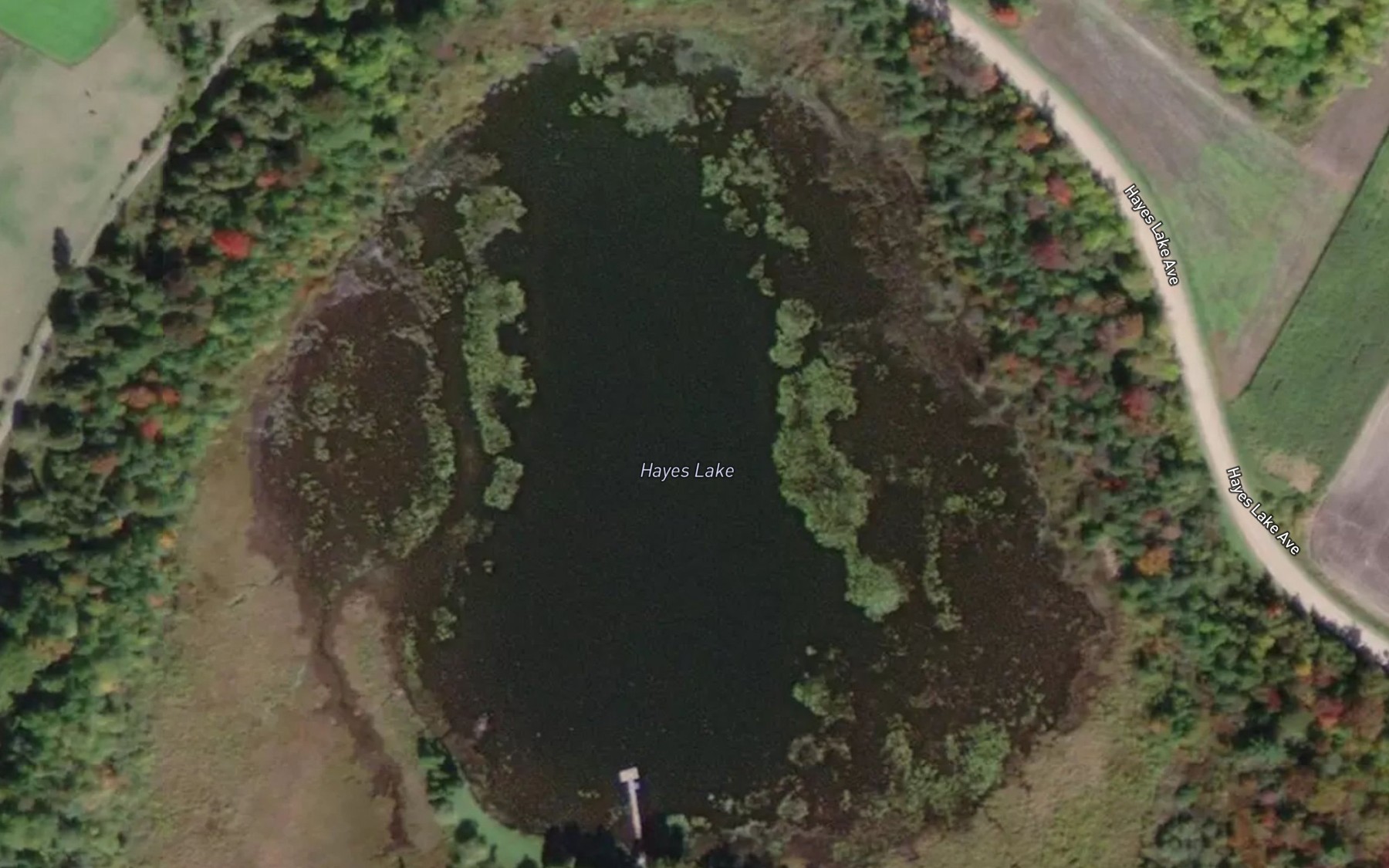 Satellite map of the Hayes Lake