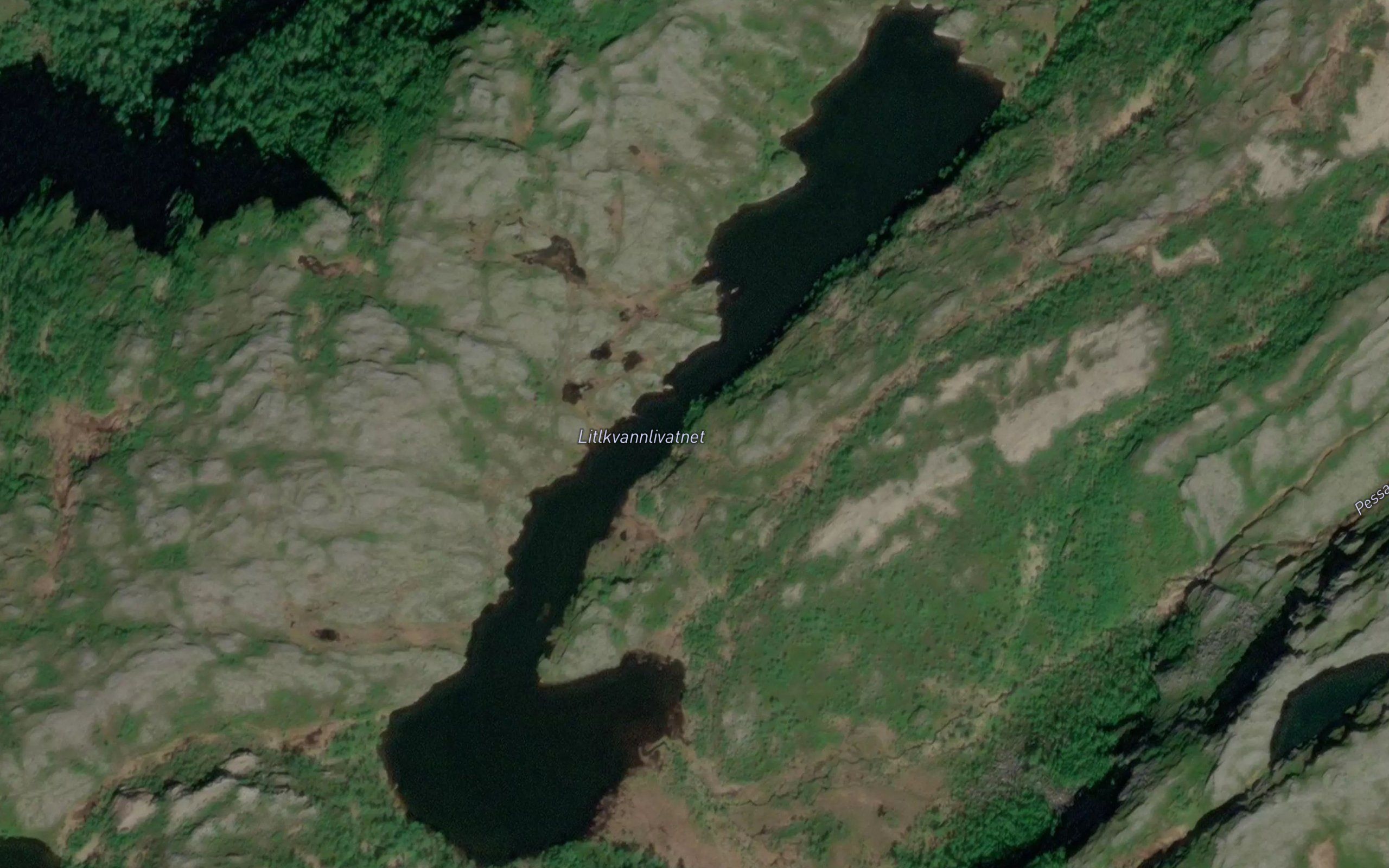 Kvannlivatnet