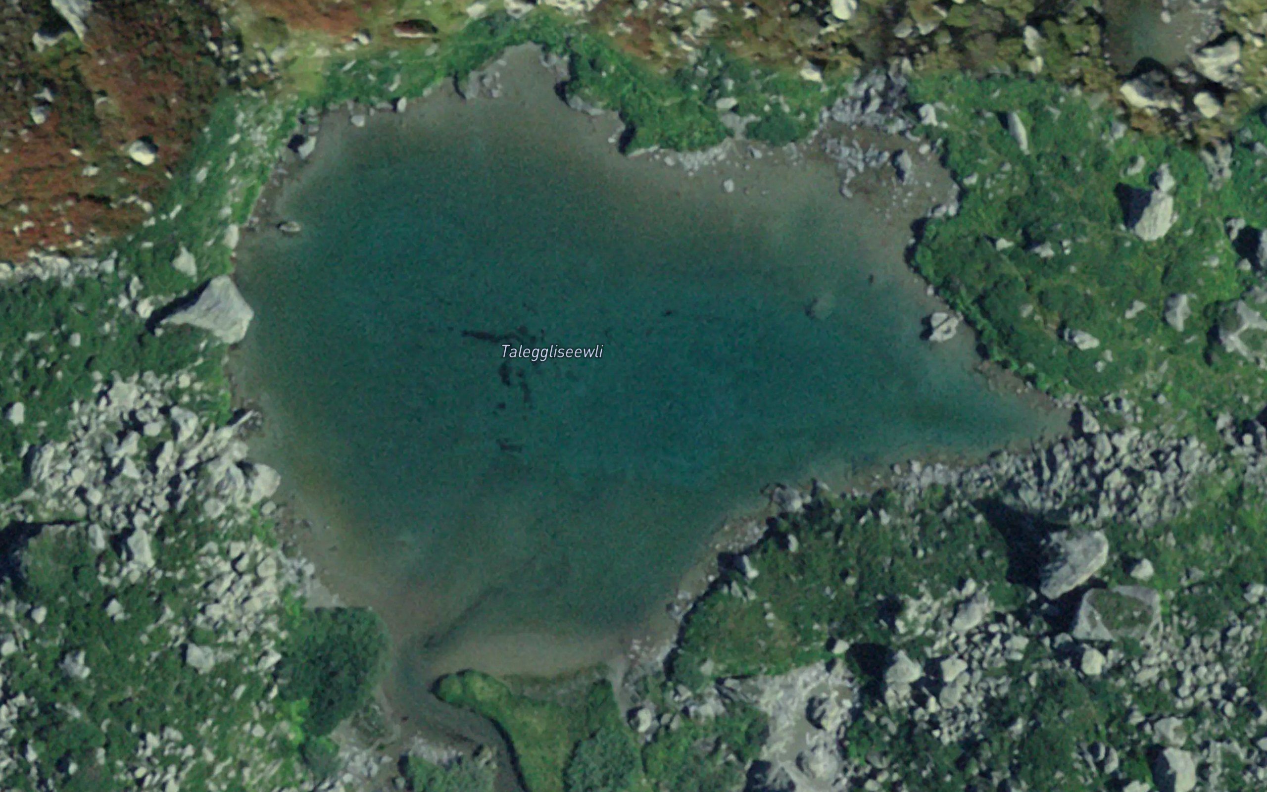 Taleggliseewli