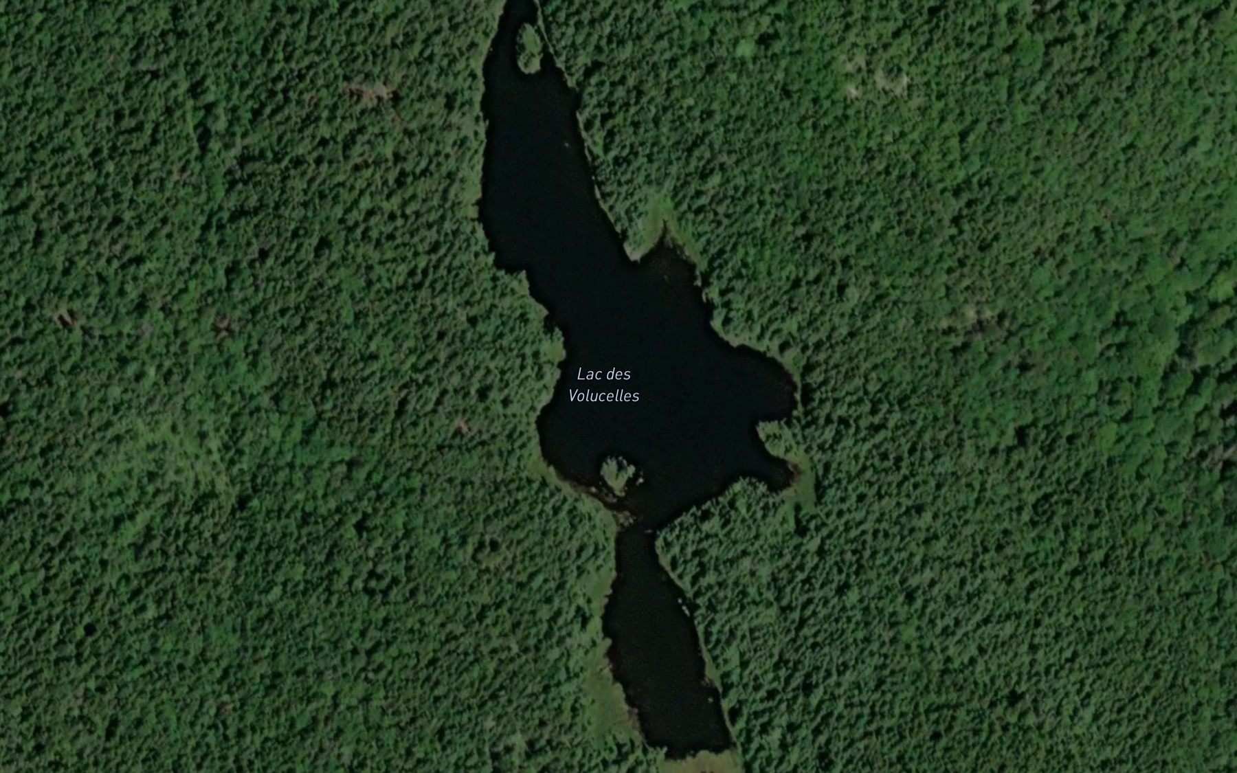 Satellite map of the Lac des Volucelles