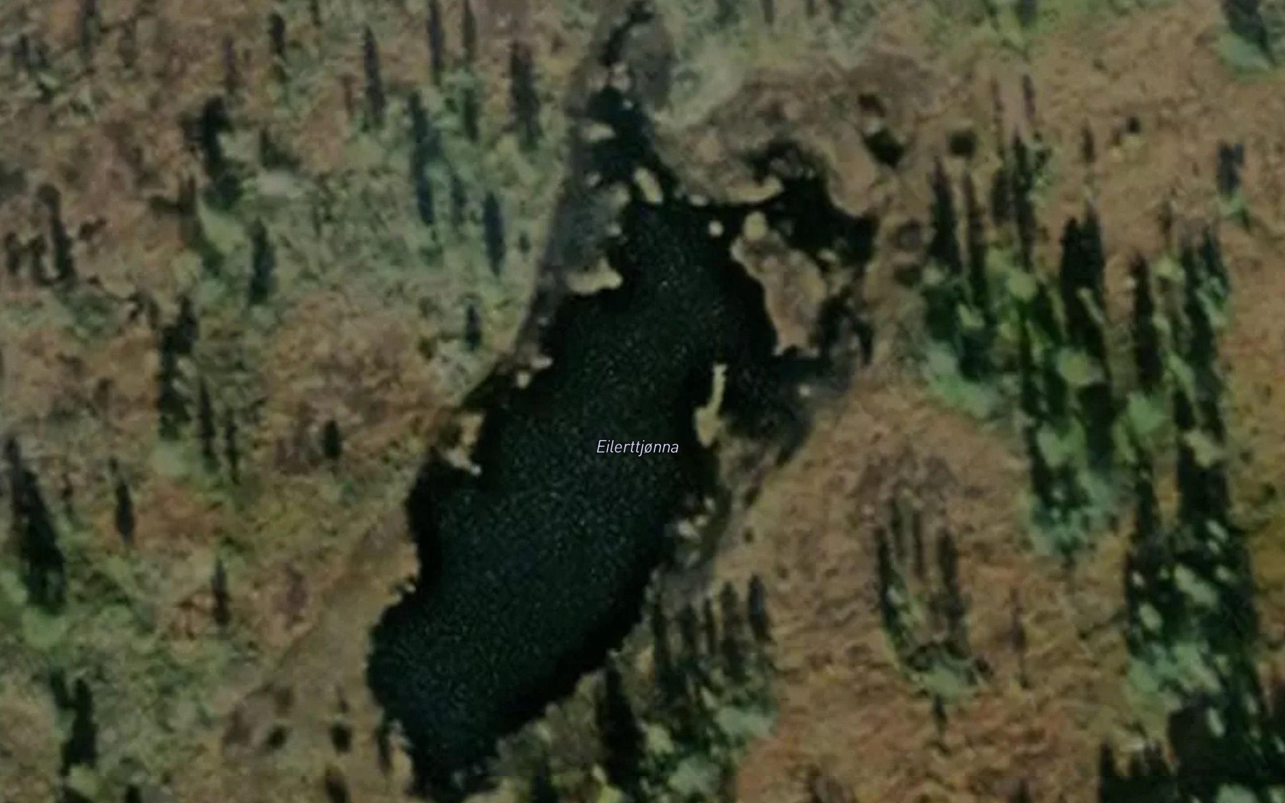 Eilerttjorna