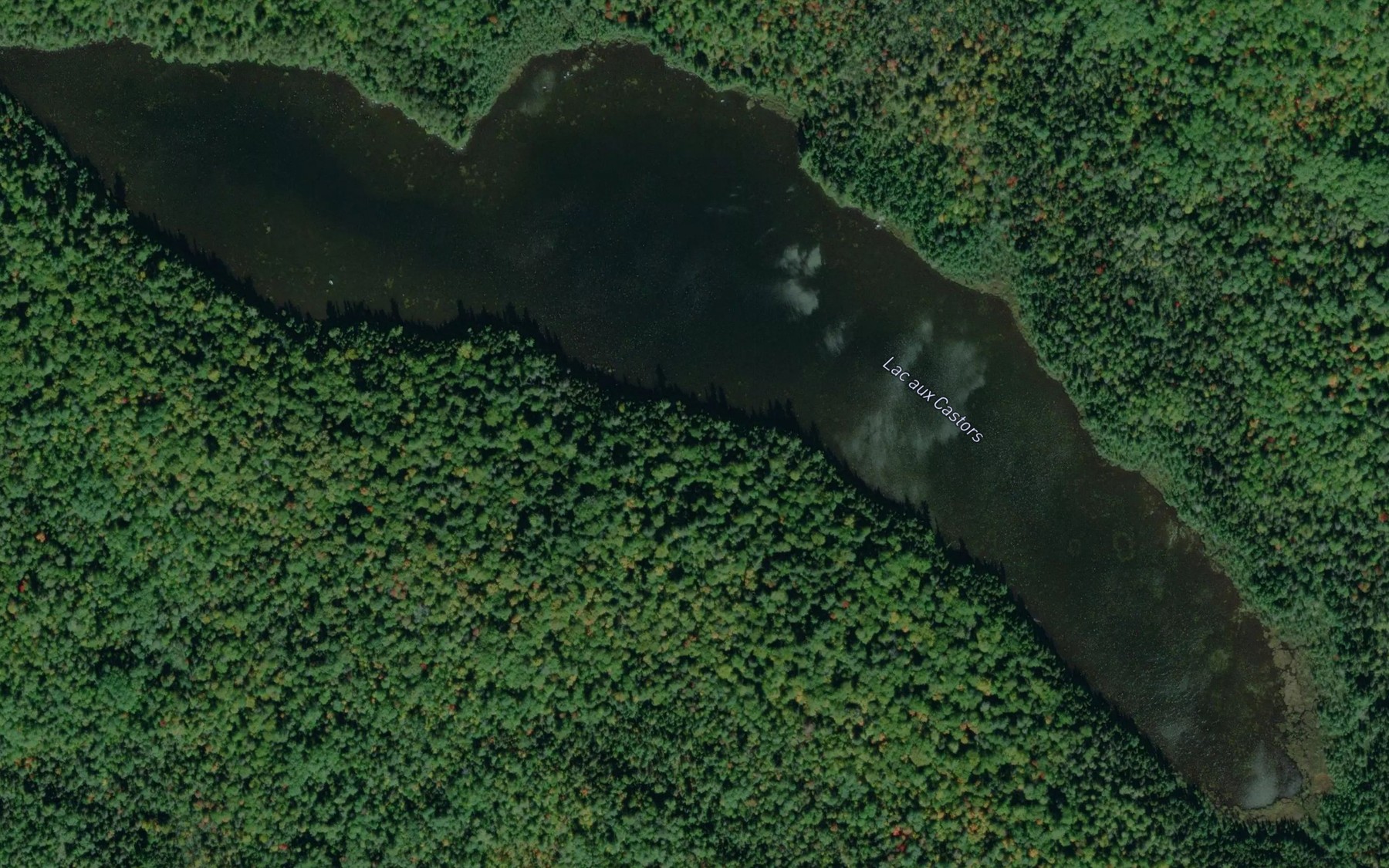 Satellite map of the Lac aux Castors
