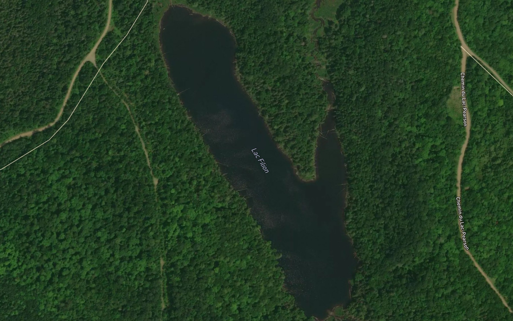 Satellite map of the Lac Filion