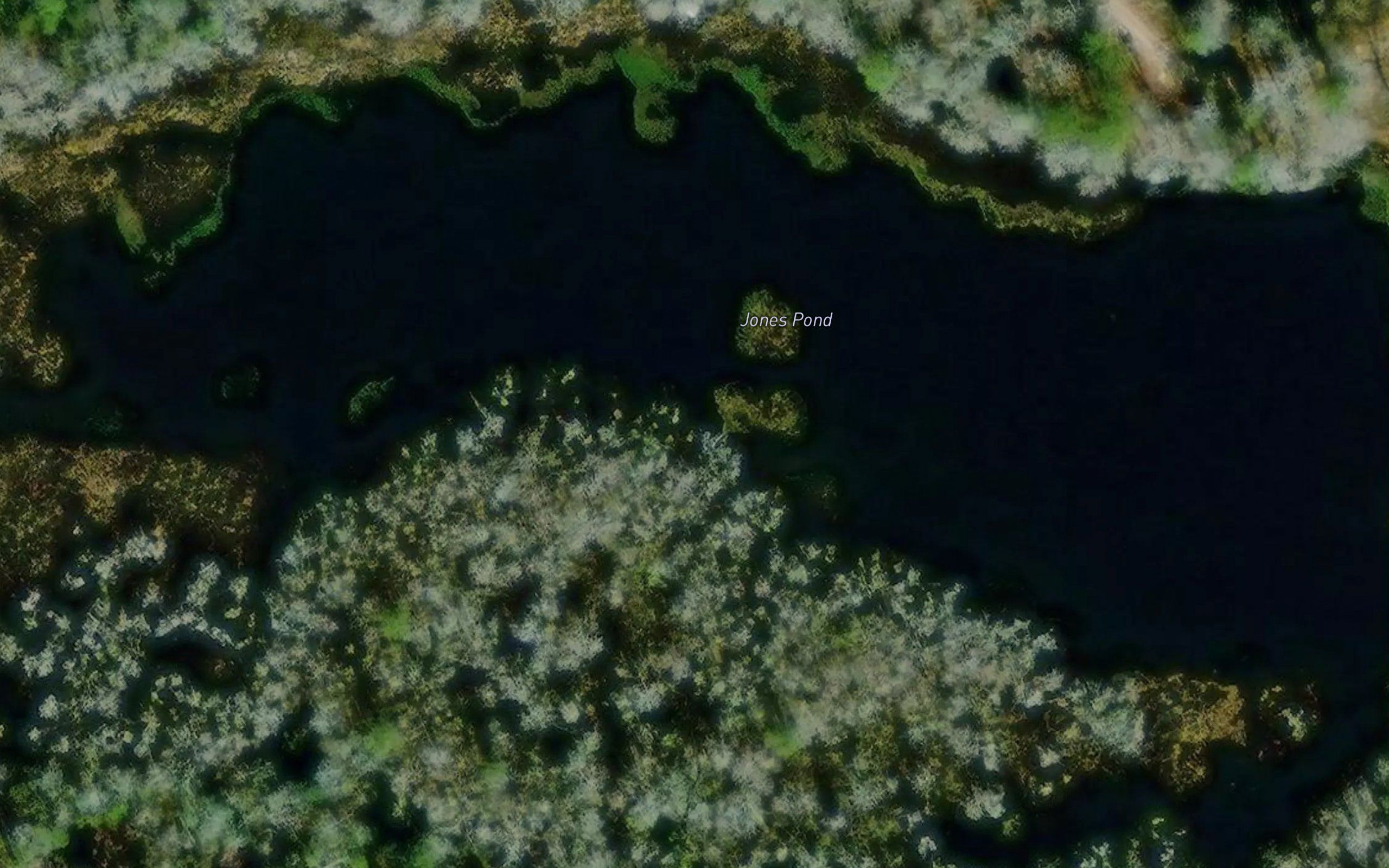 Jones Pond