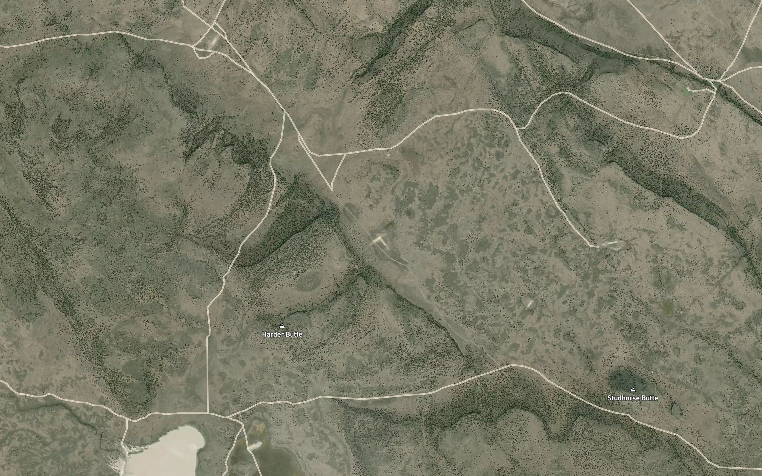 Great Basin Waterhole