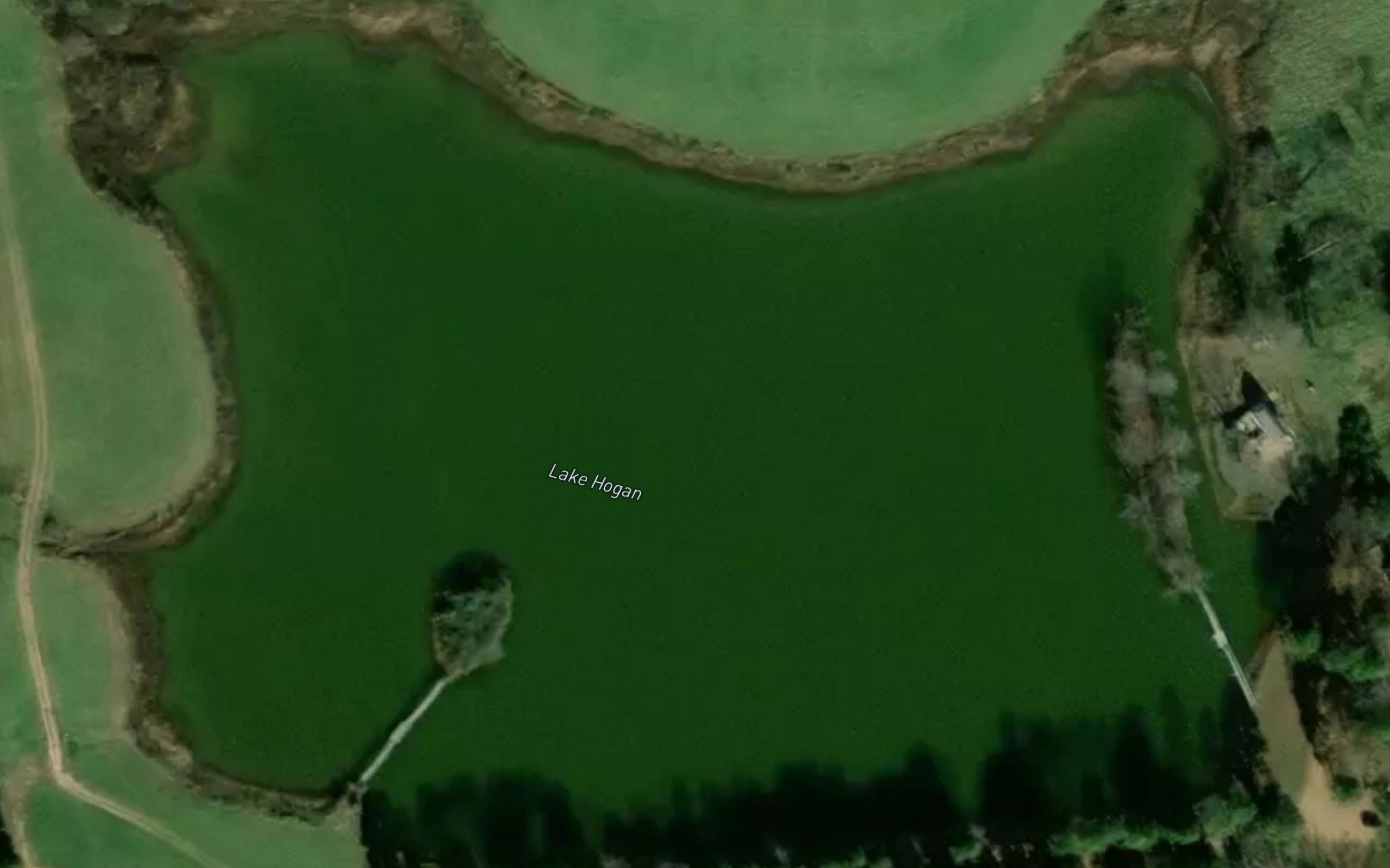 Lake Hogan
