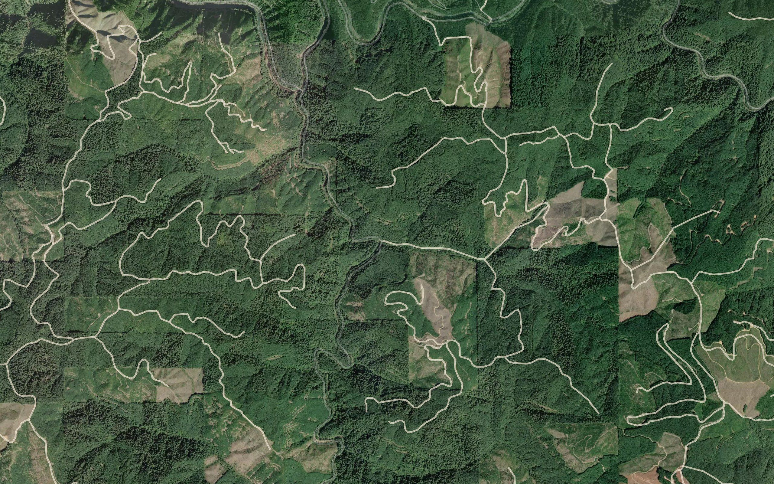 Shotgun Creek