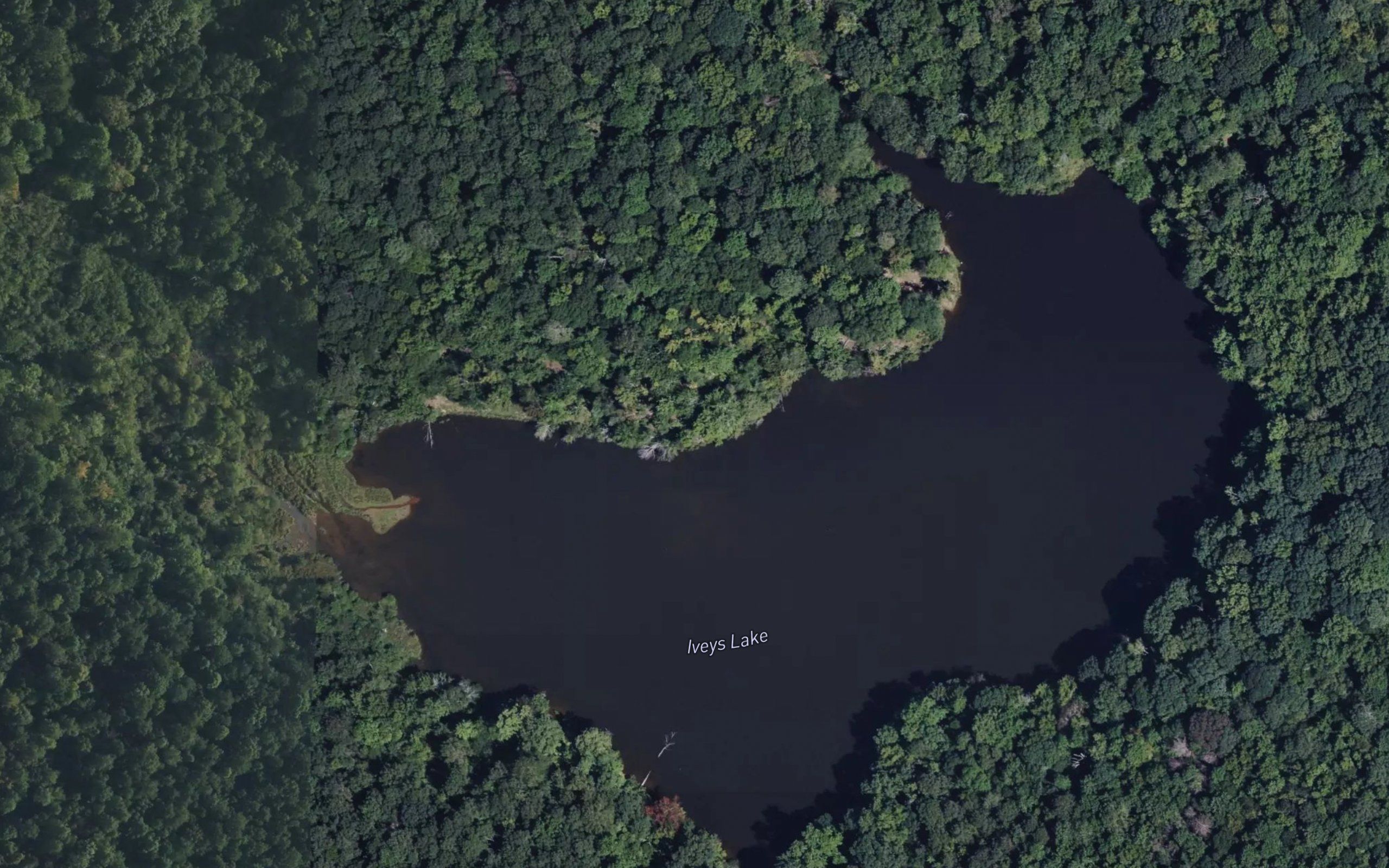 Iveys Lake