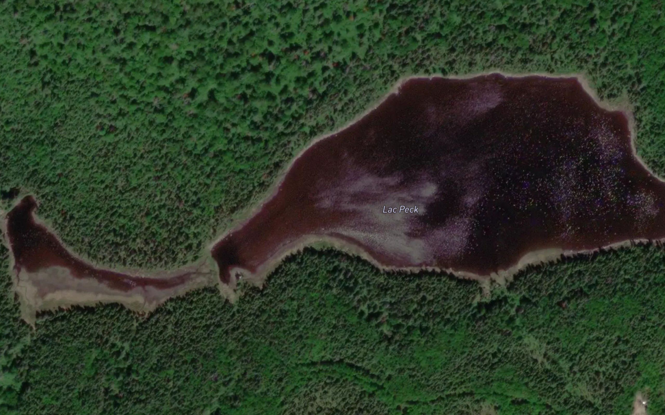 Lac Peck