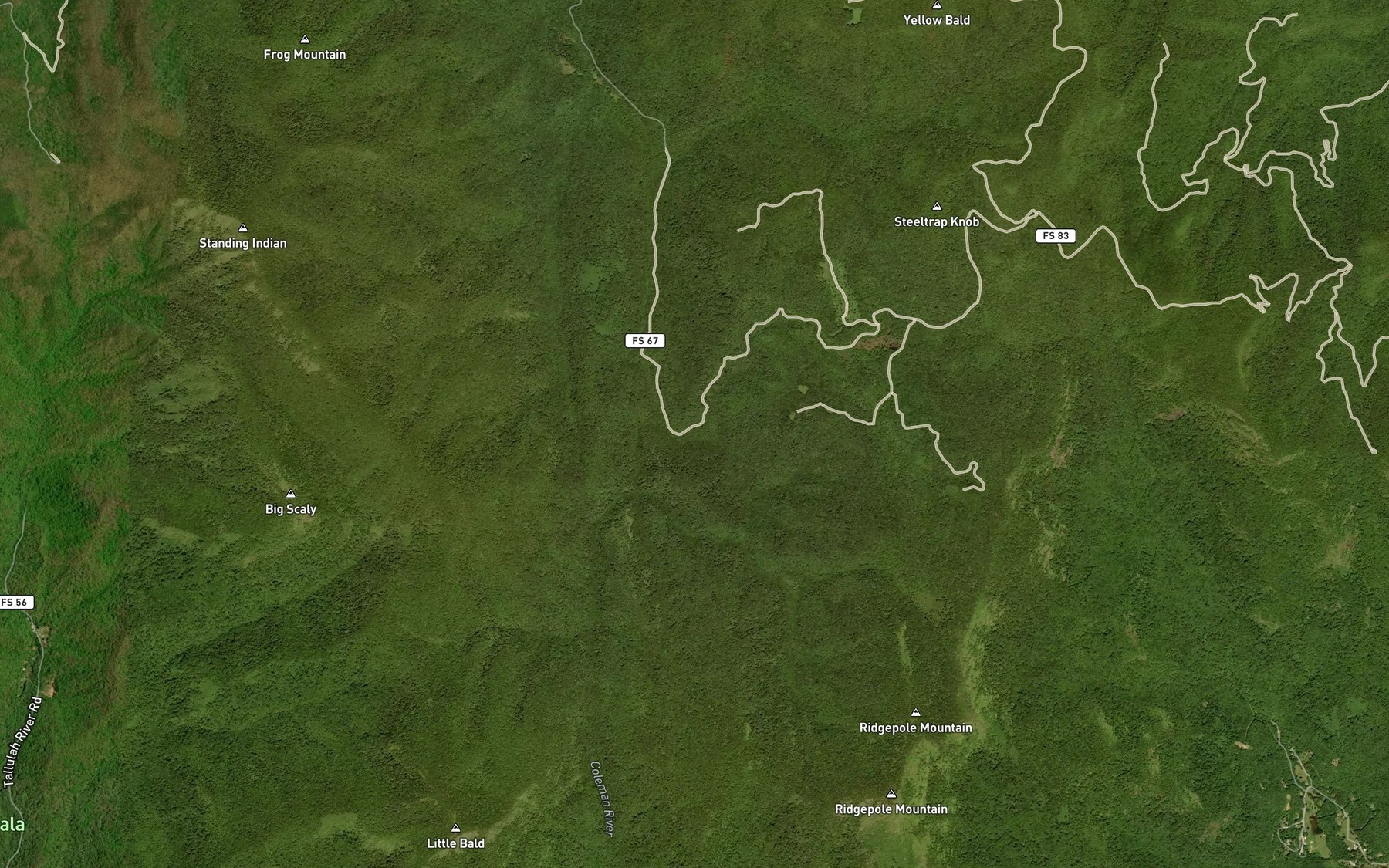 Satellite map of the Mountainside Branch