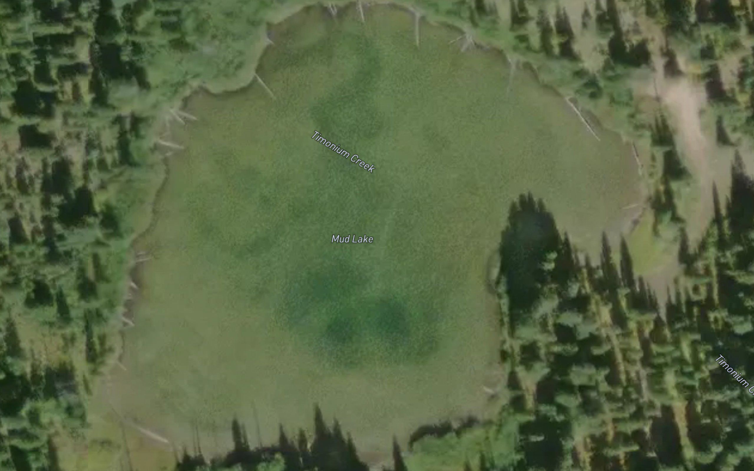 Mud Lake
