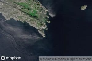 Tangevika
