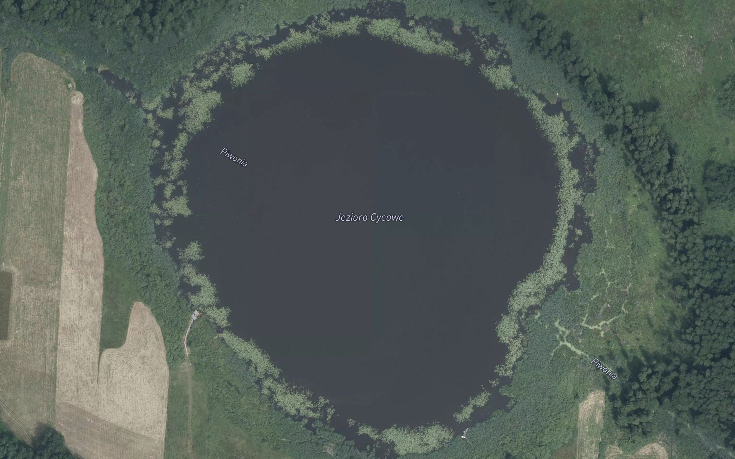 Jezioro Cycowe