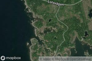 Mickasvik