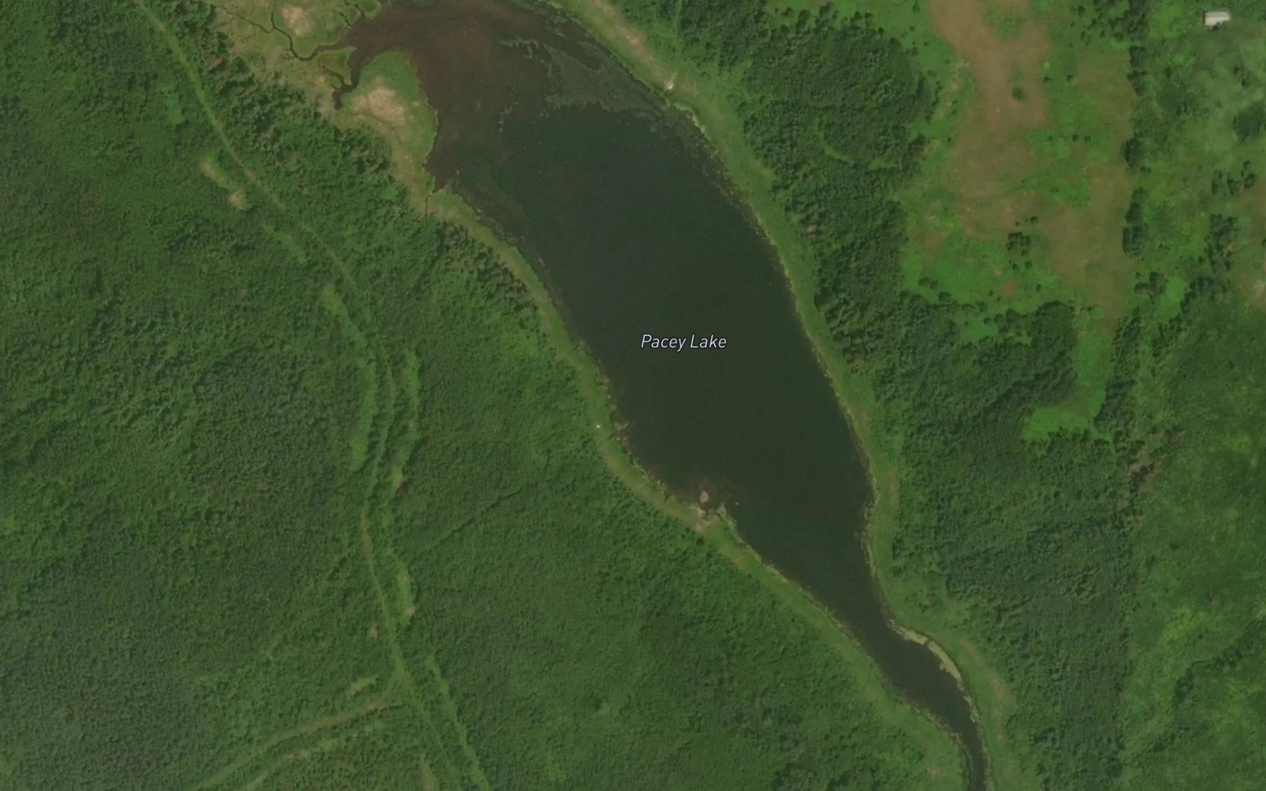 Satellite map of the Pacey Lake