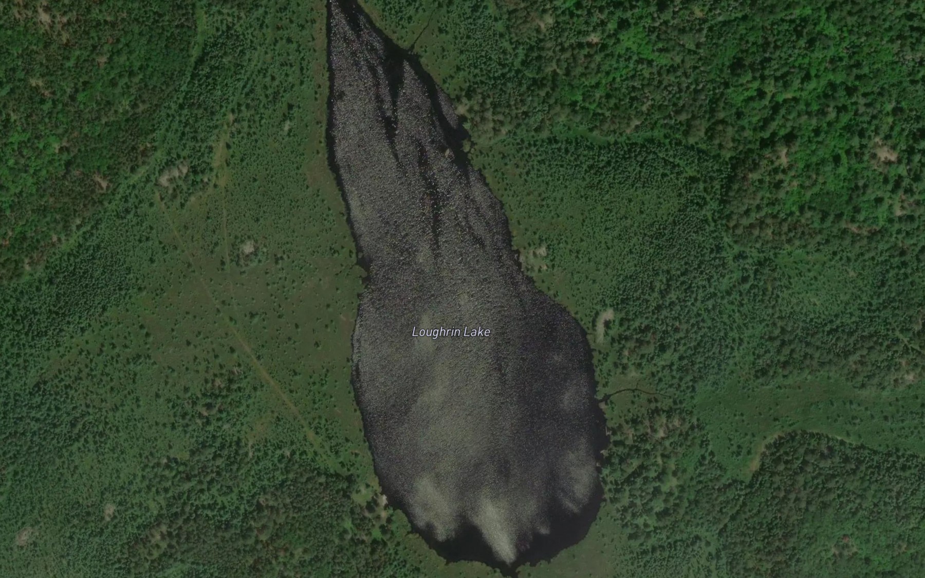 Satellite map of the Loughrin Lake