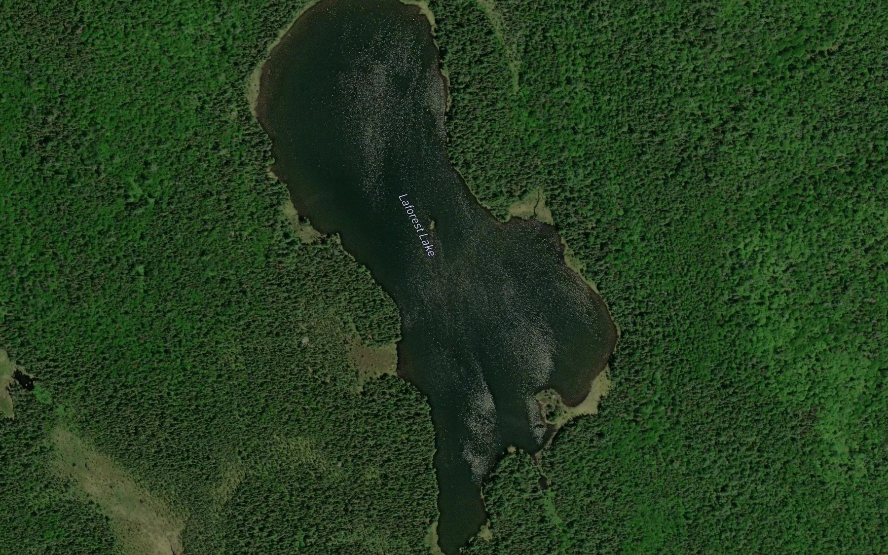Satellite map of the Laforest Lake