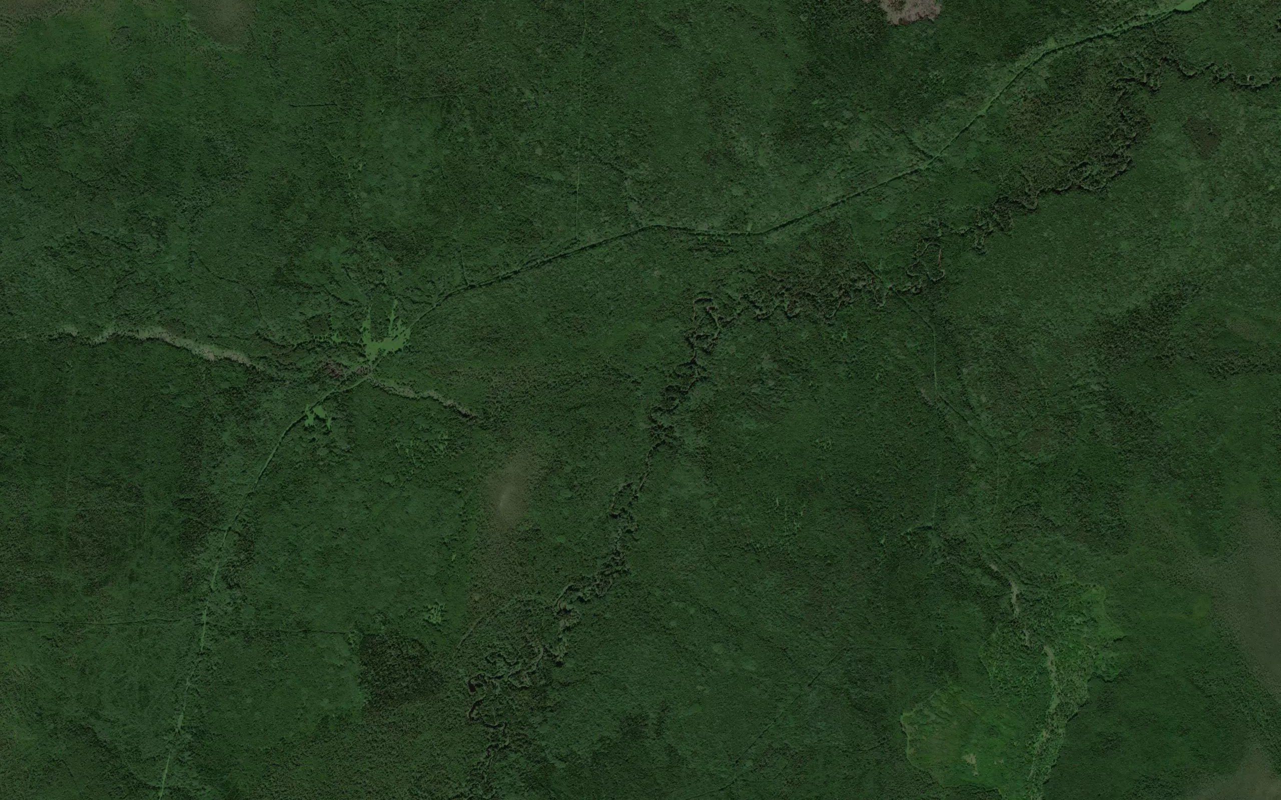 Dedovskiy