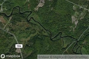 Wilt Brook