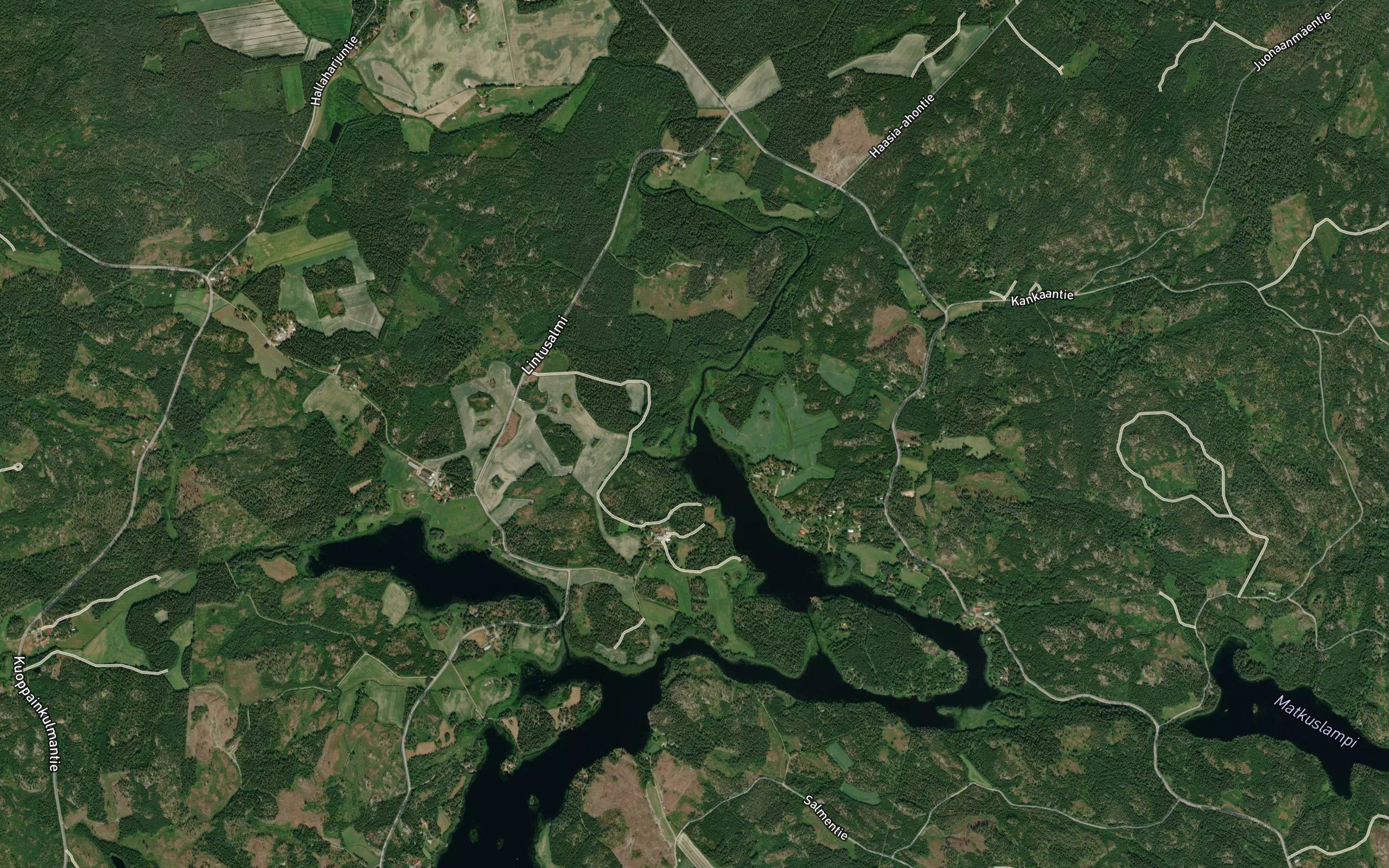 Lauhjoki