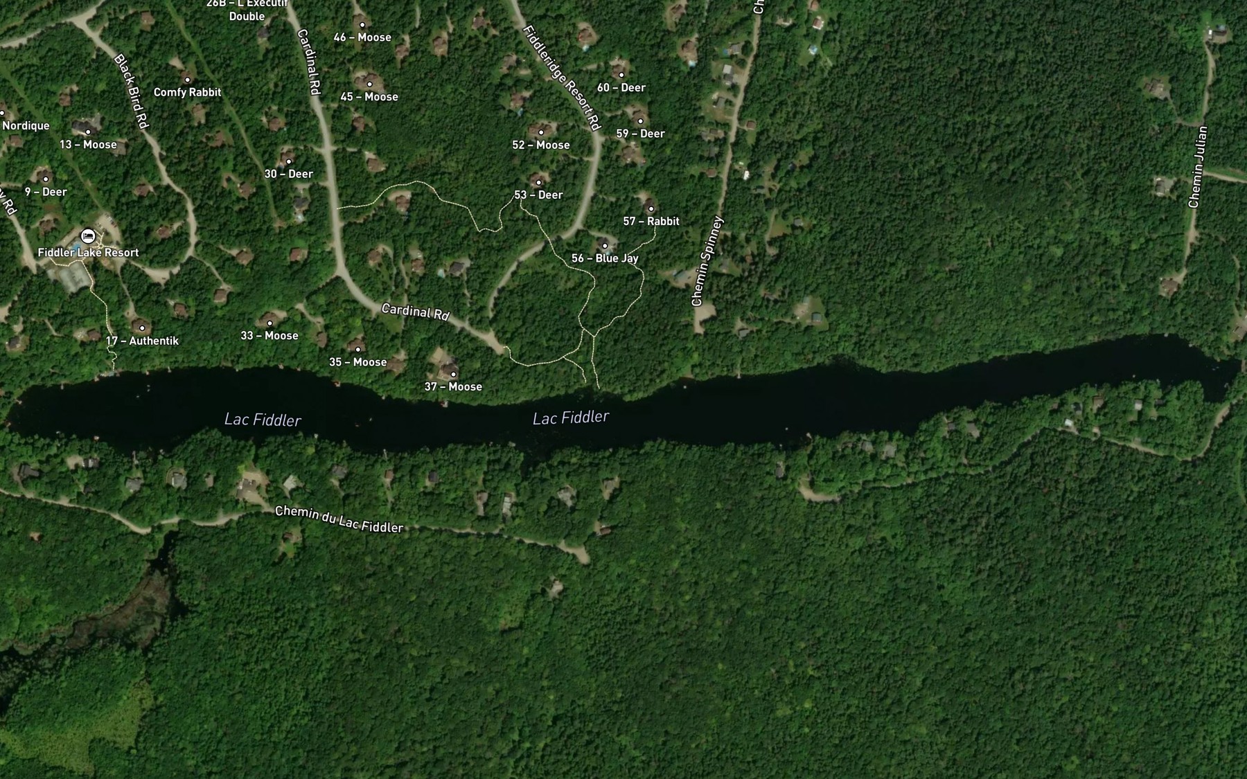 Satellite map of the Lac Fiddler