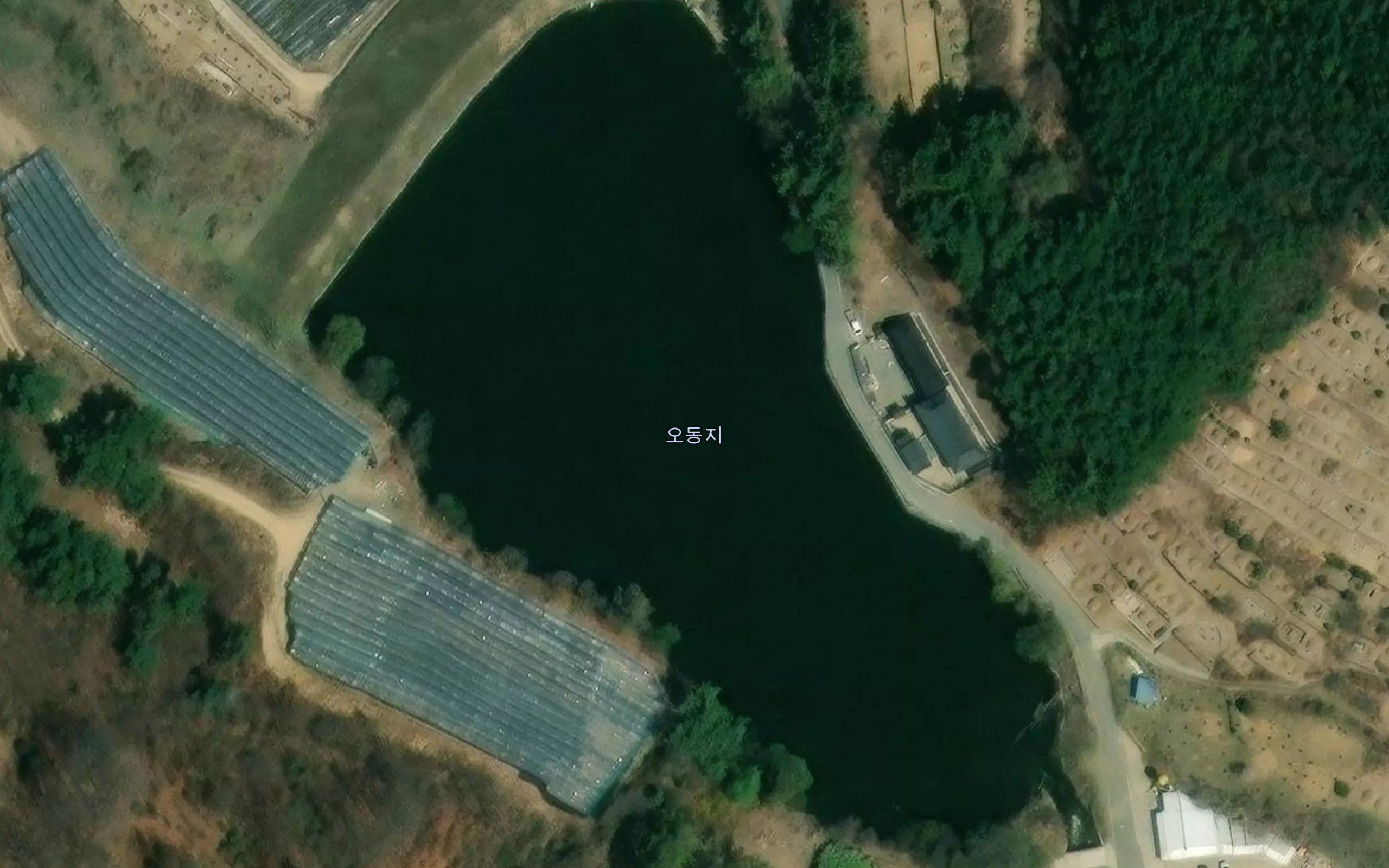 Odongji