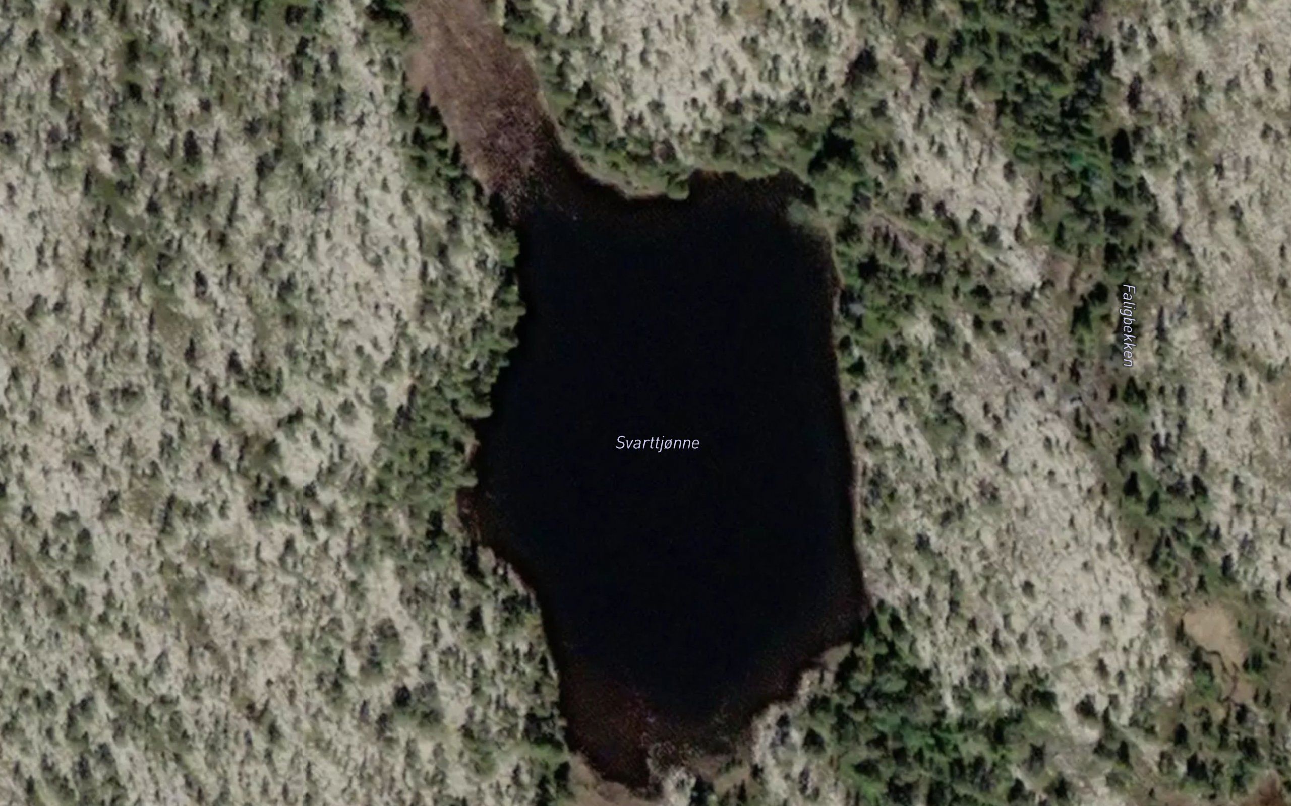 Svarttjern