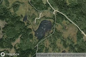 Brattlitjernet