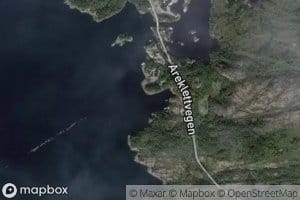 Byrkjevagen