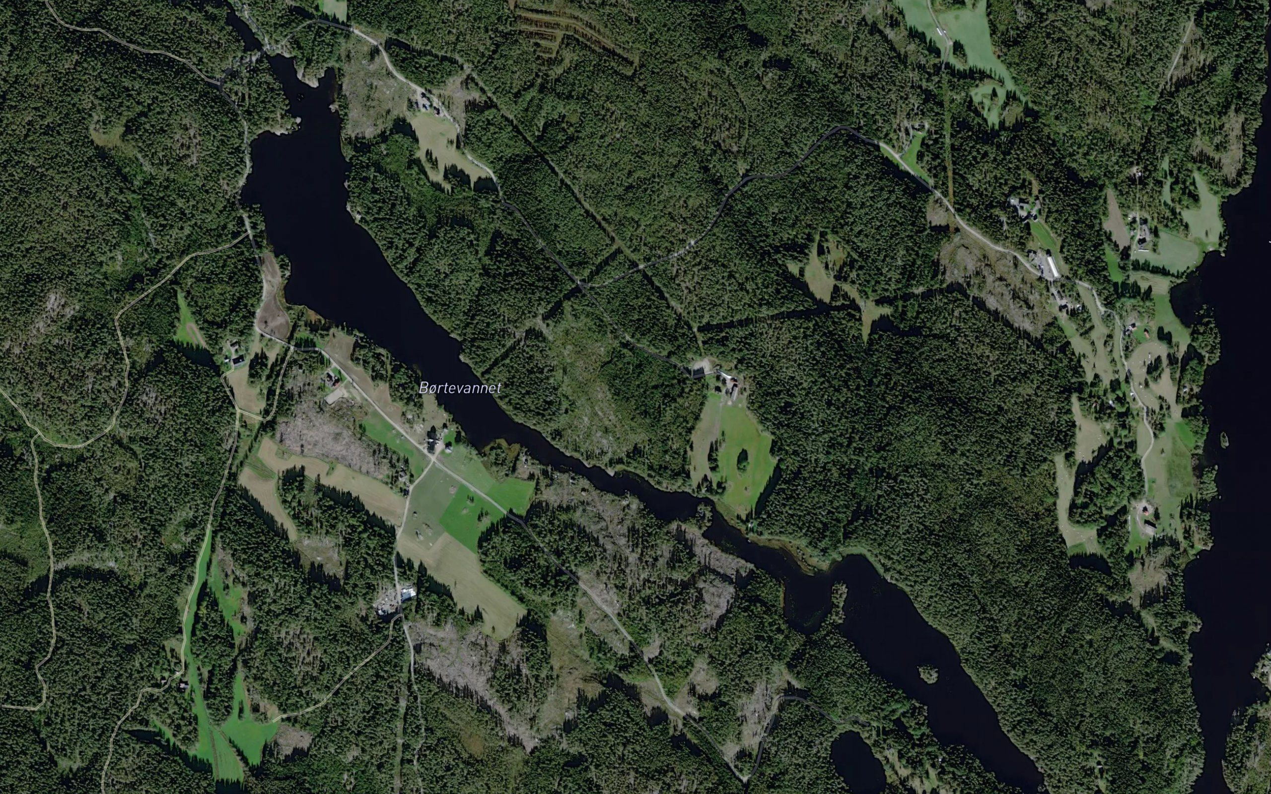 Bortevatnet