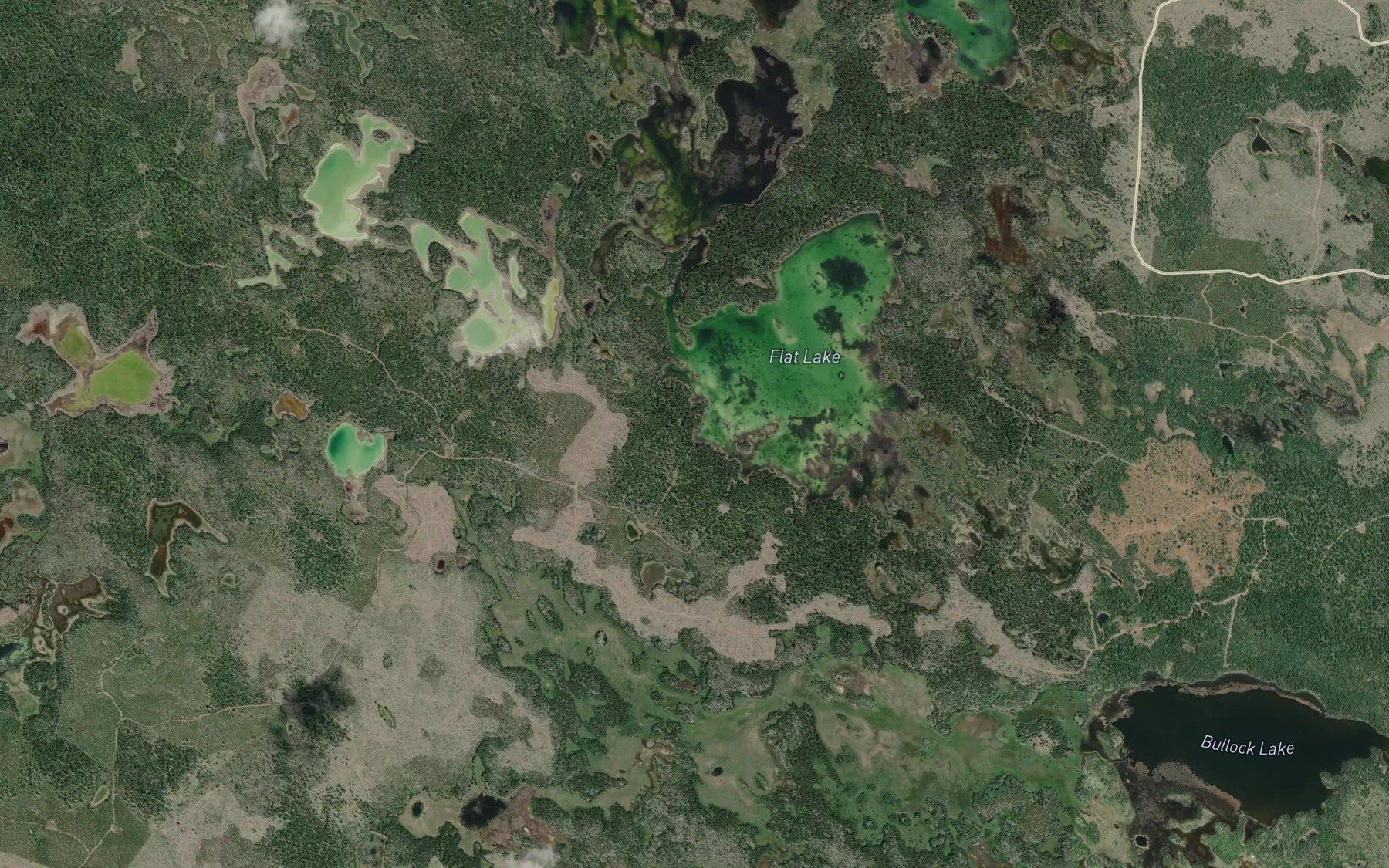 Satellite map of the Flat Lake