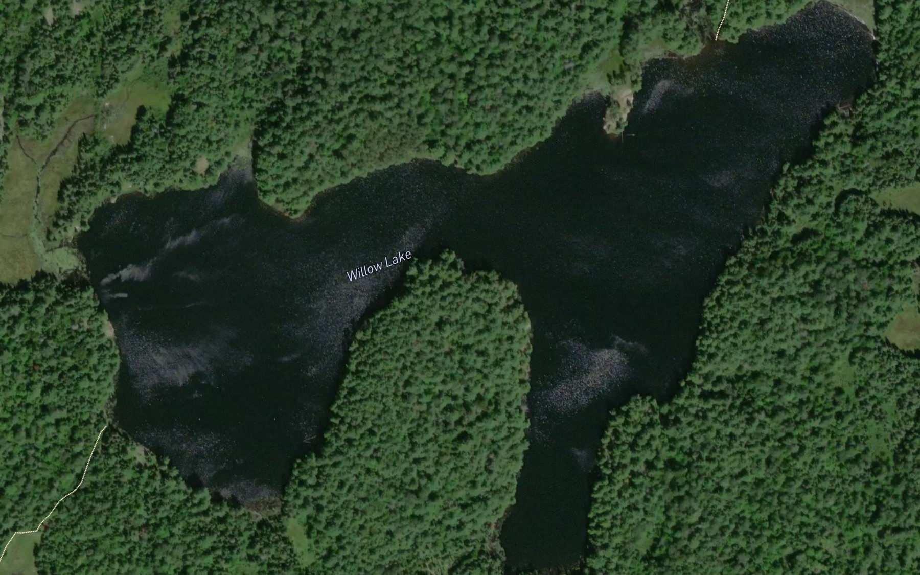 Satellite map of the Willow Lake
