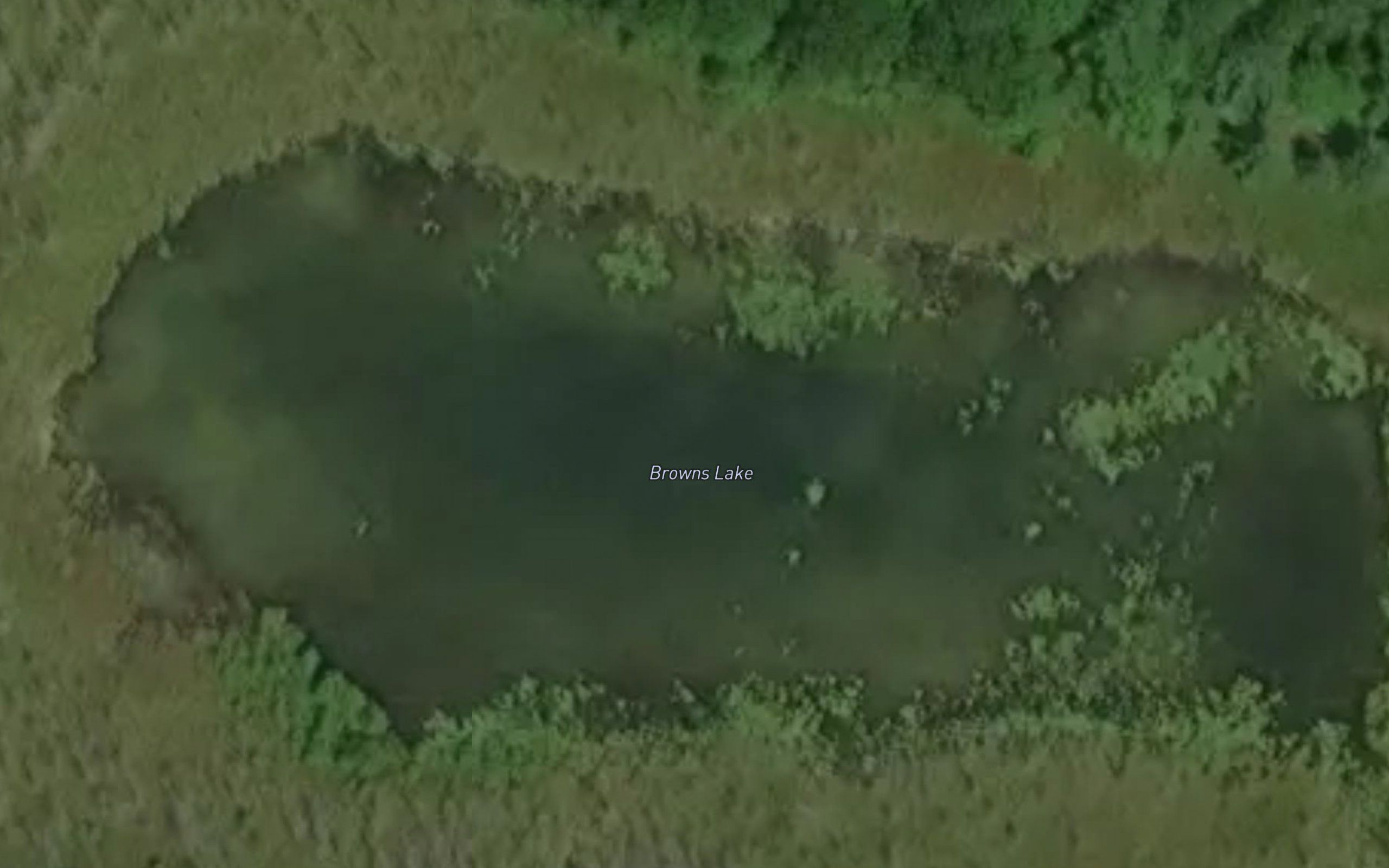 Browns Lake
