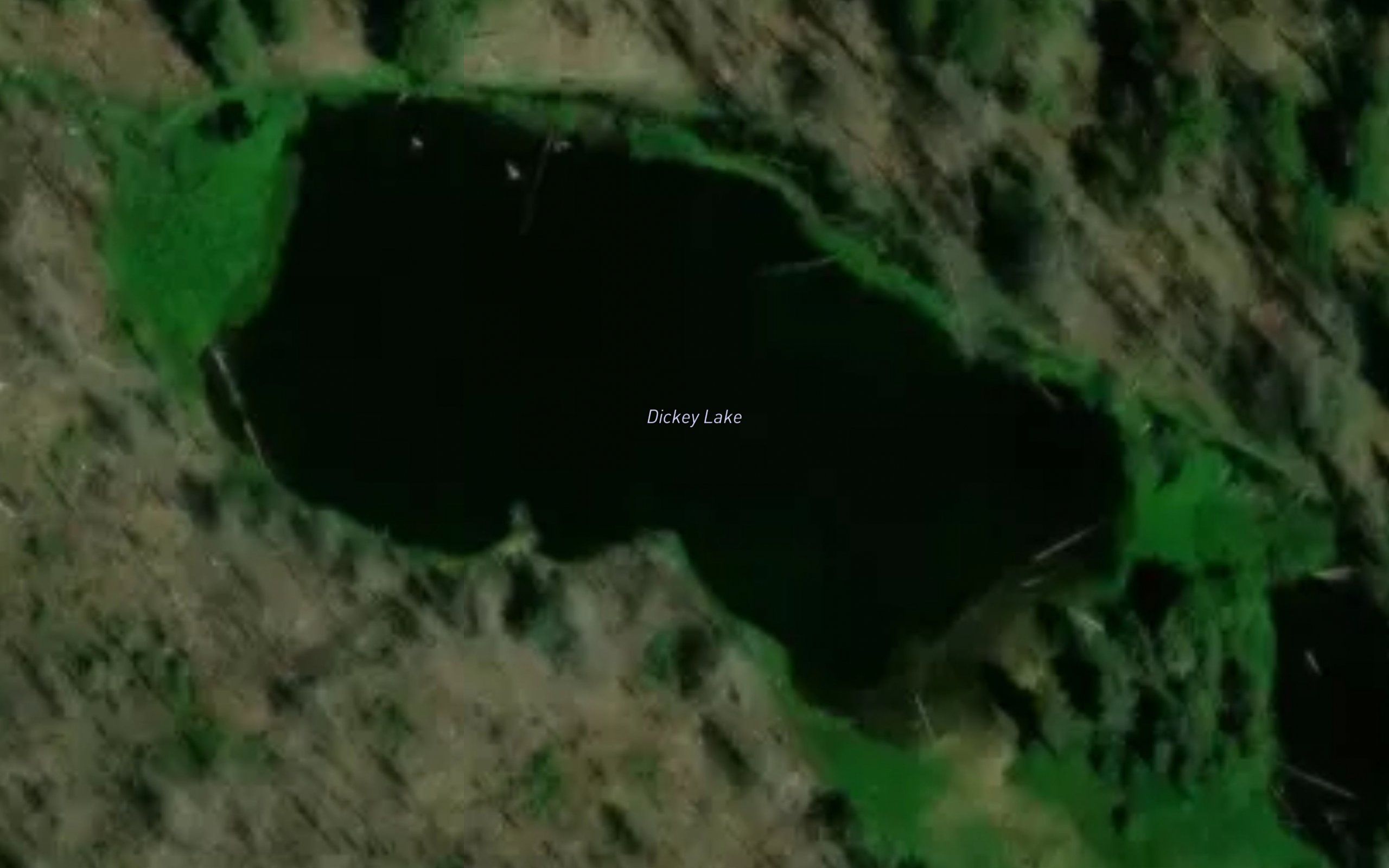 Dickey Lake