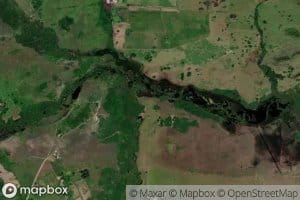 Morichal Buena Vista