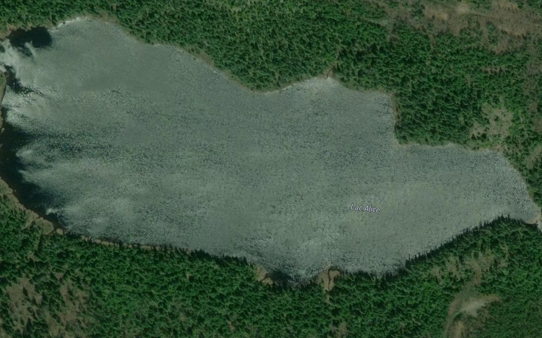 Satellite map of the Lac Alice