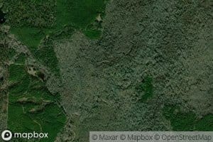 East Fork Tulip Creek