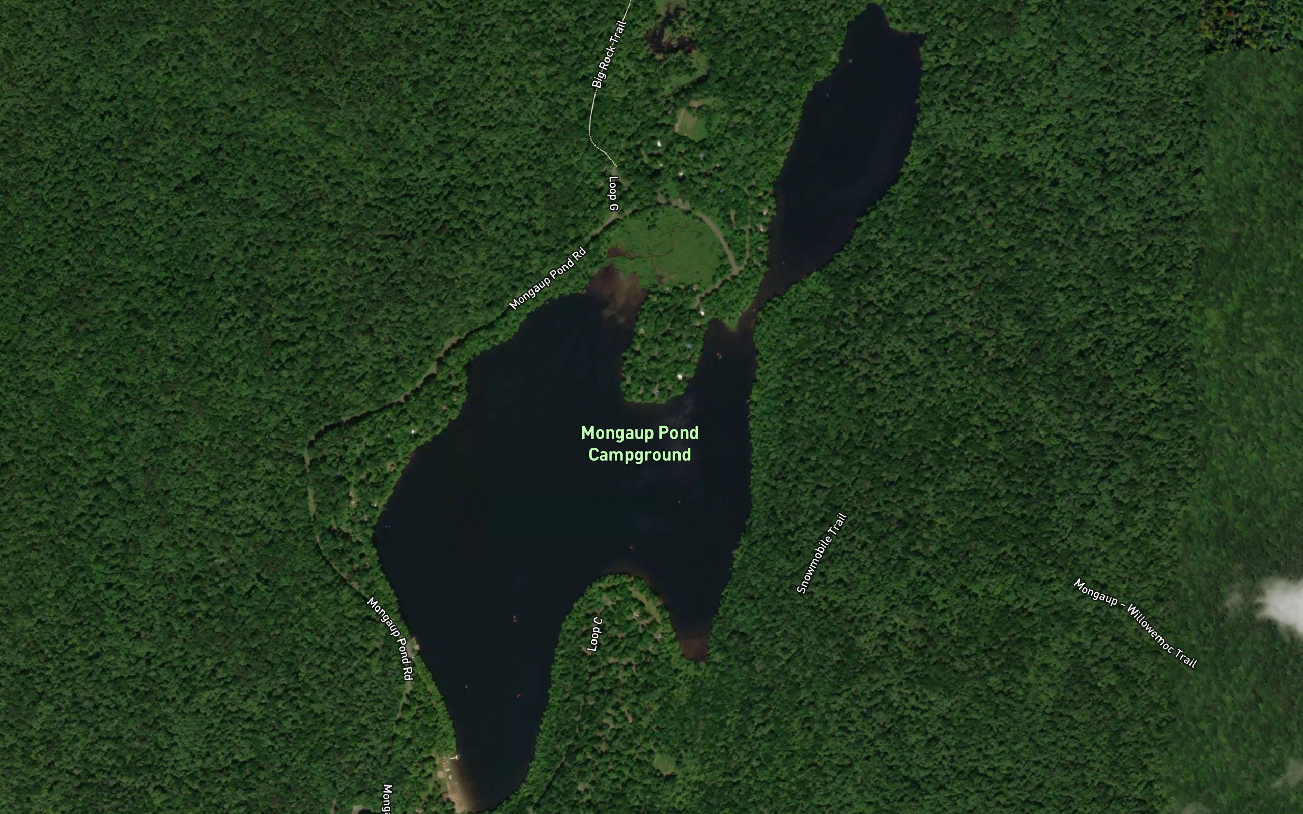 Mongaup Pond