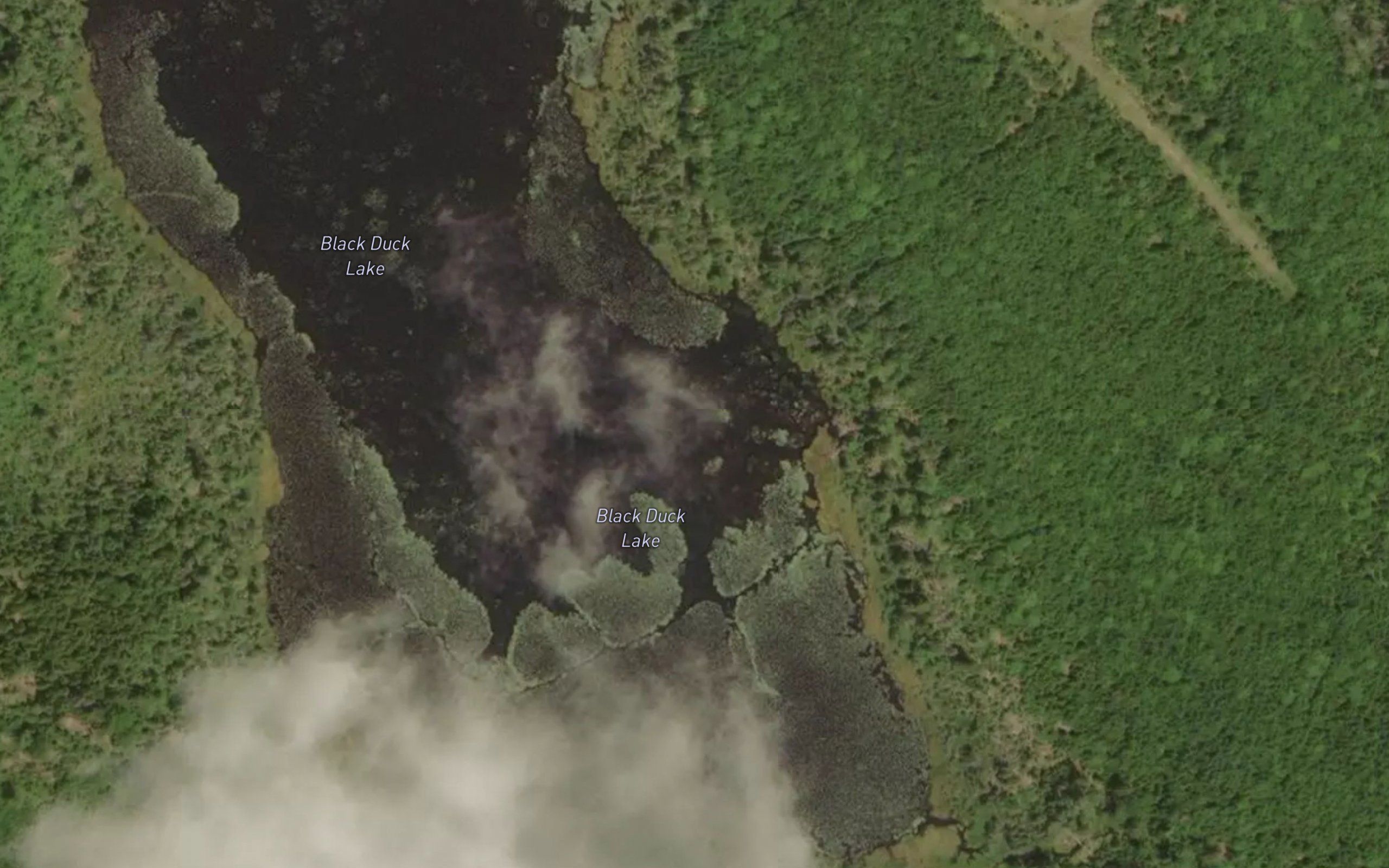Black Duck Lake