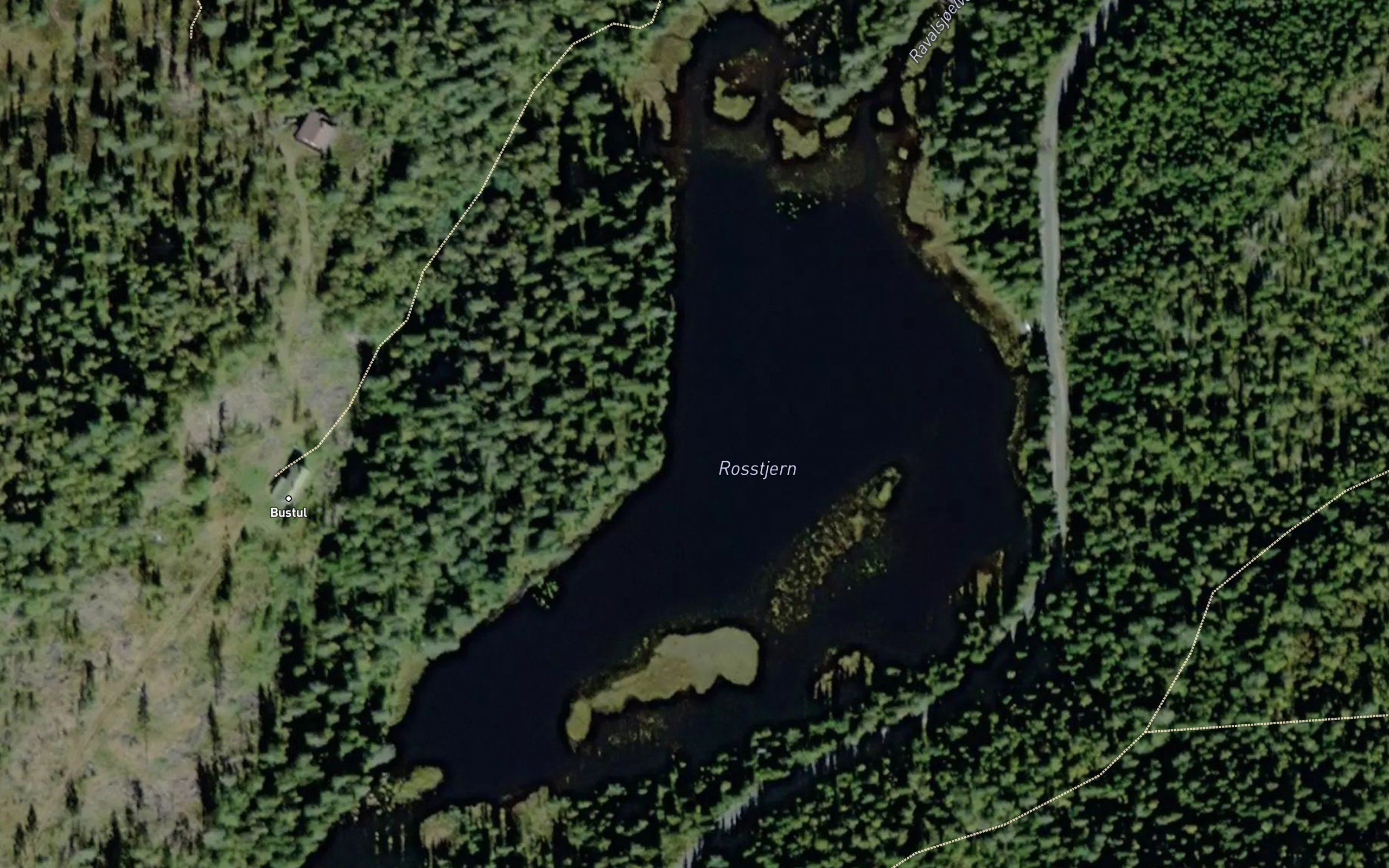 Rosstjern
