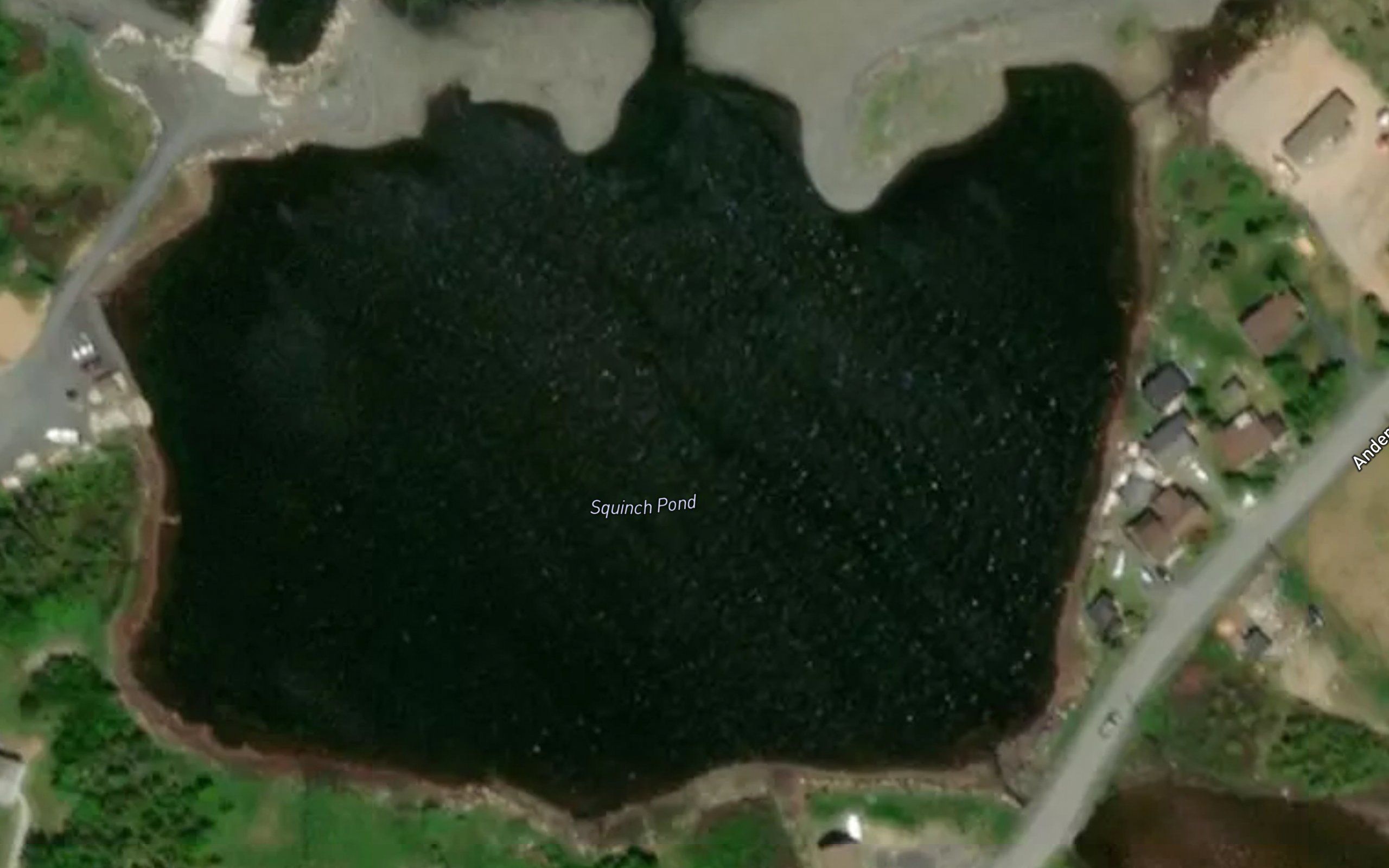 Squinch Pond