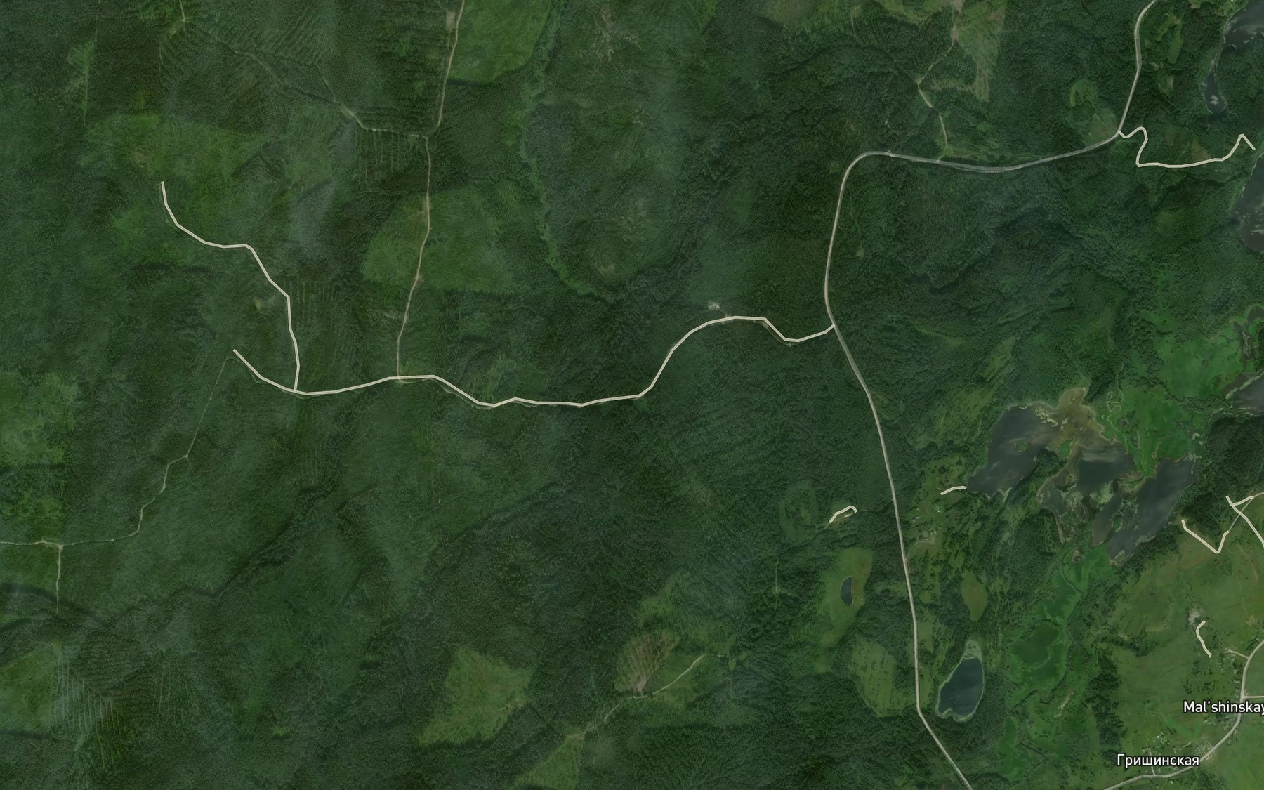 Satellite map of the Bol'shaya Syr'ga