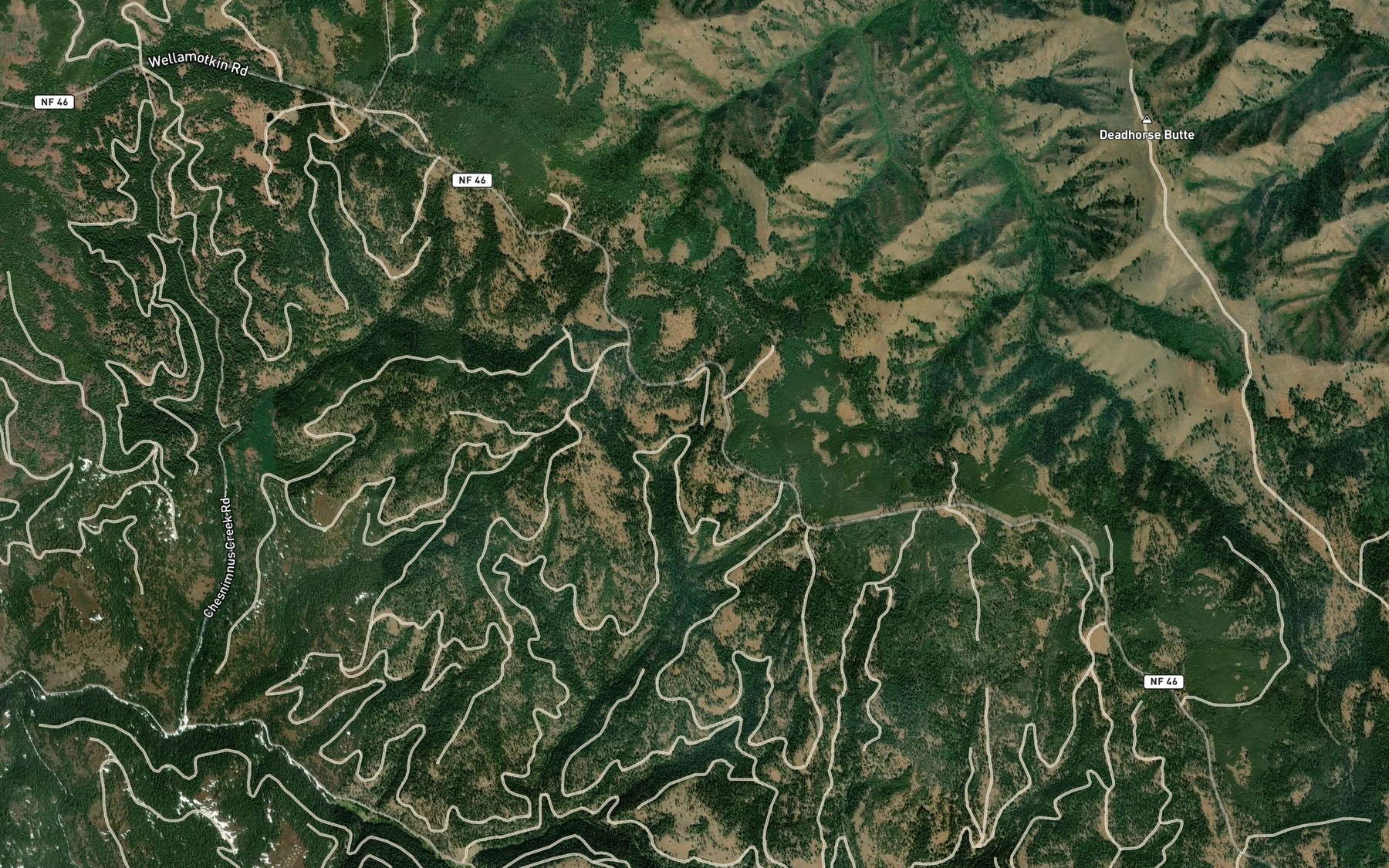 Satellite map of the Yandall Spring