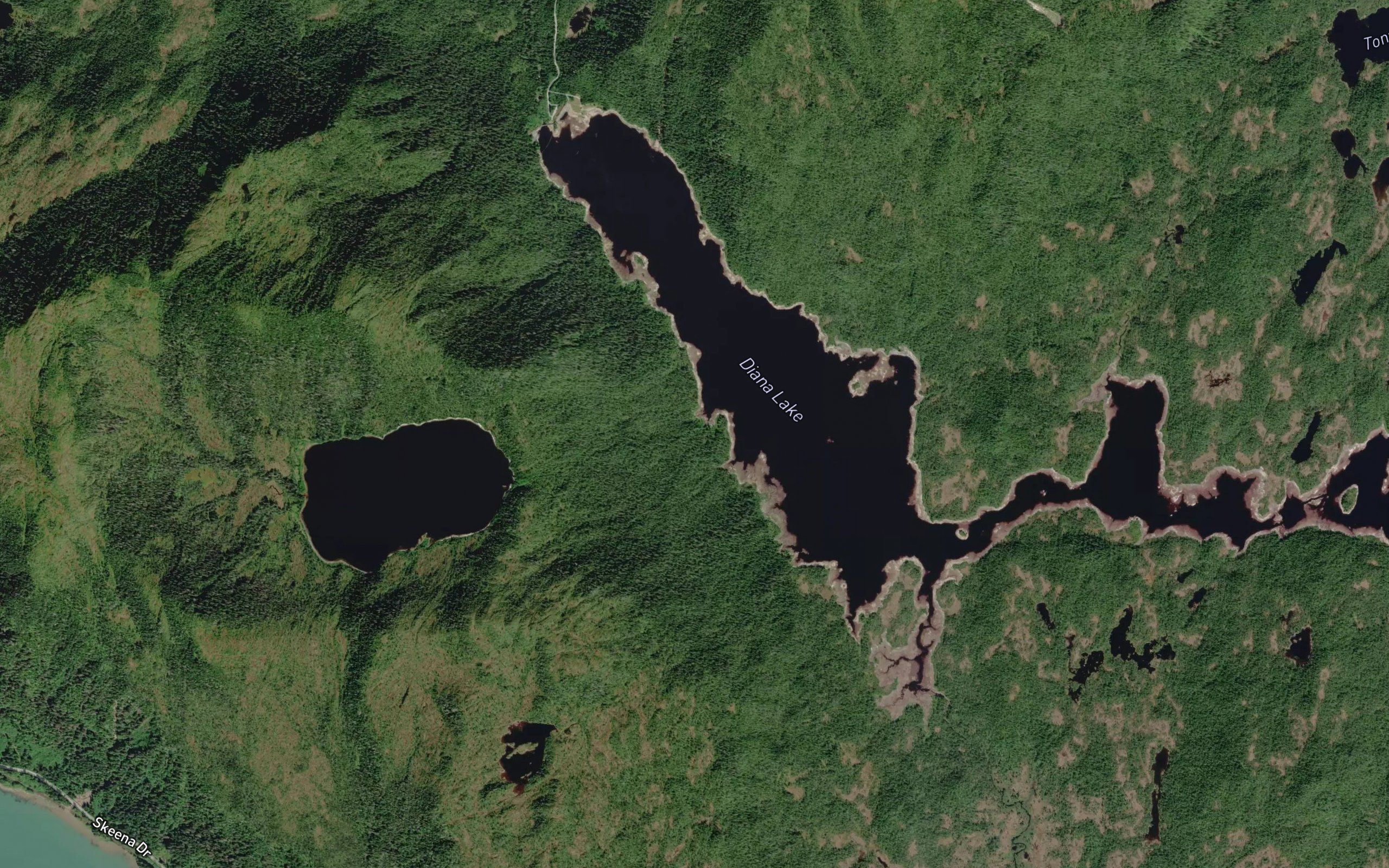 Colonel Johnston Creek